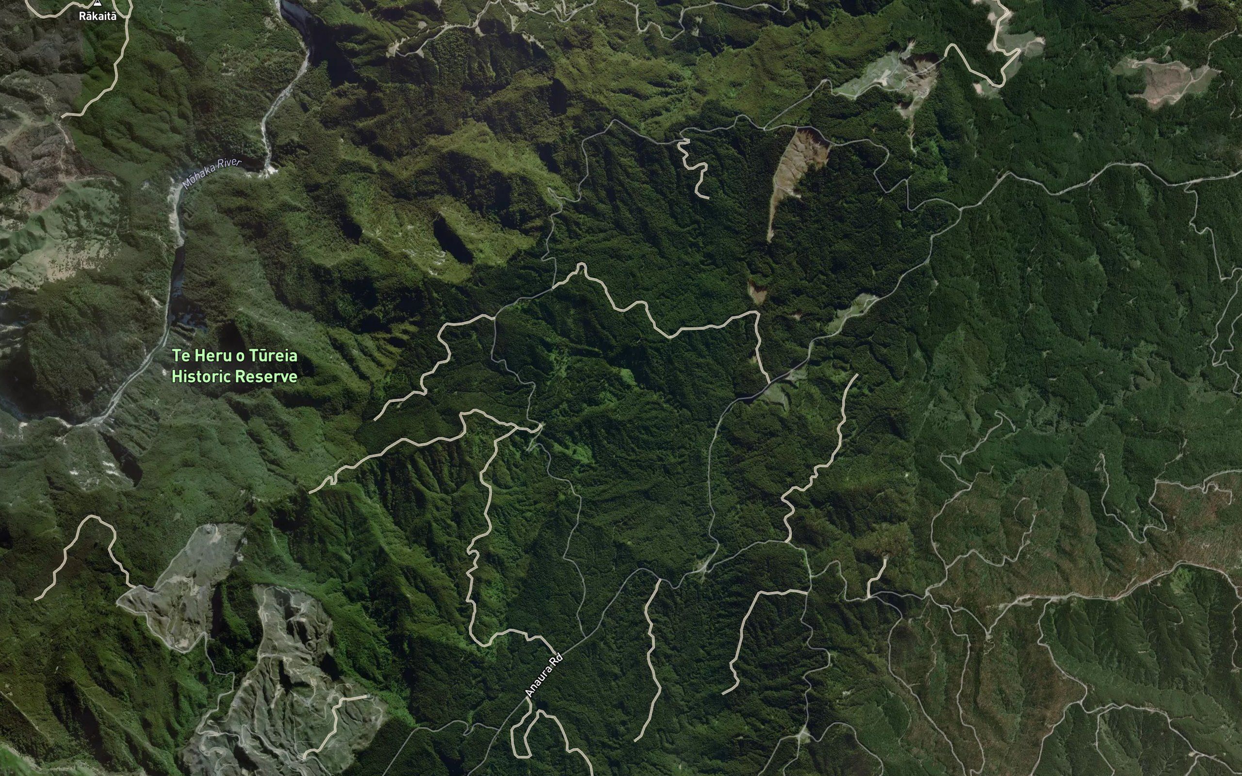Anaura Stream