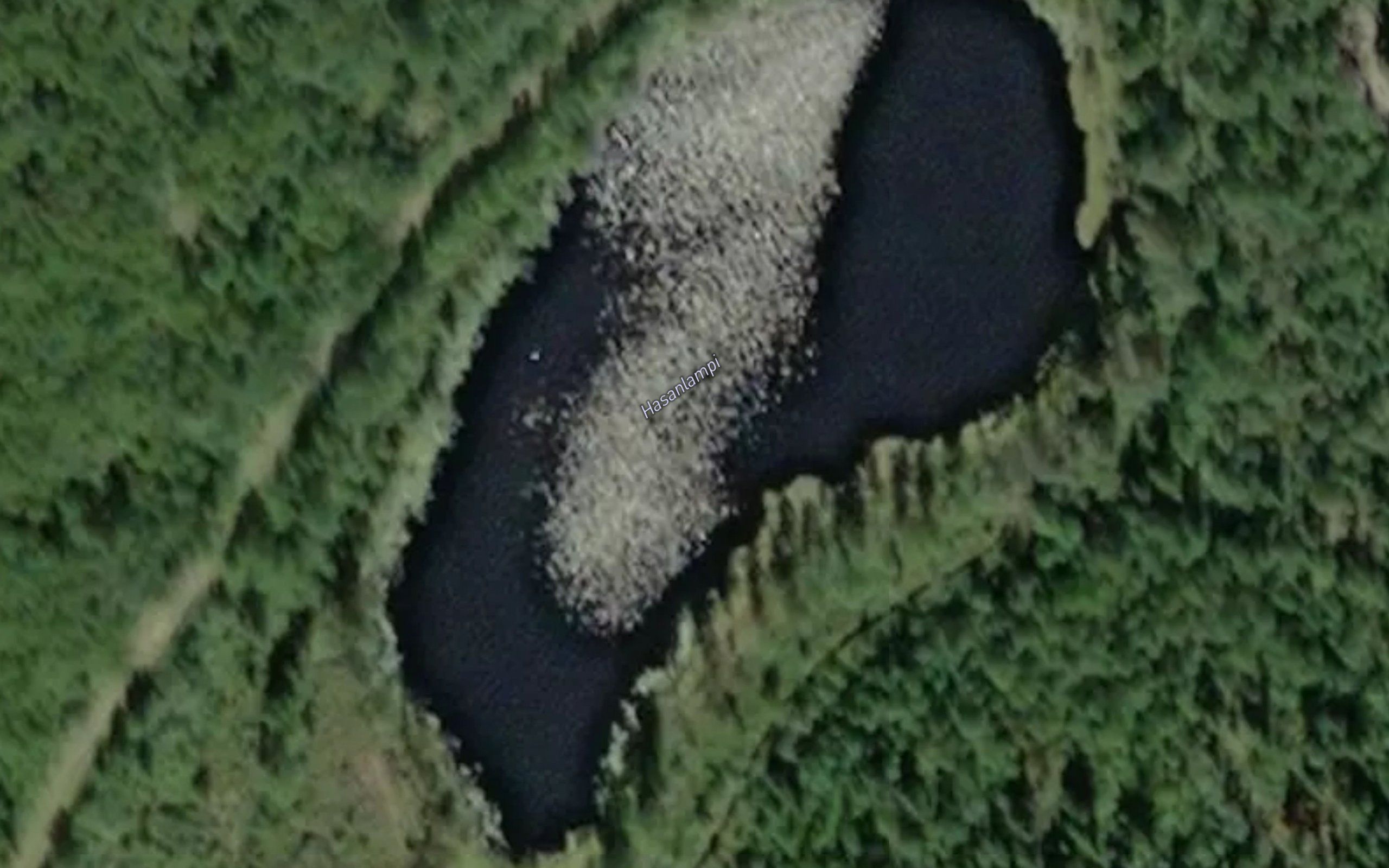 Hasanlampi