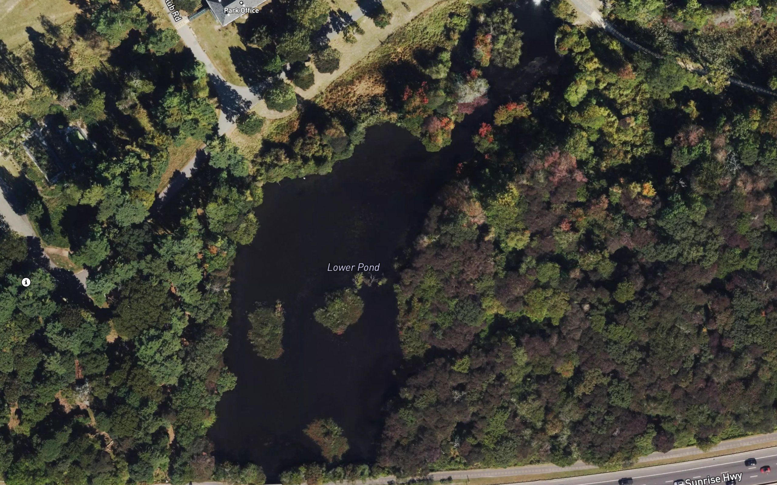 Lower Pond