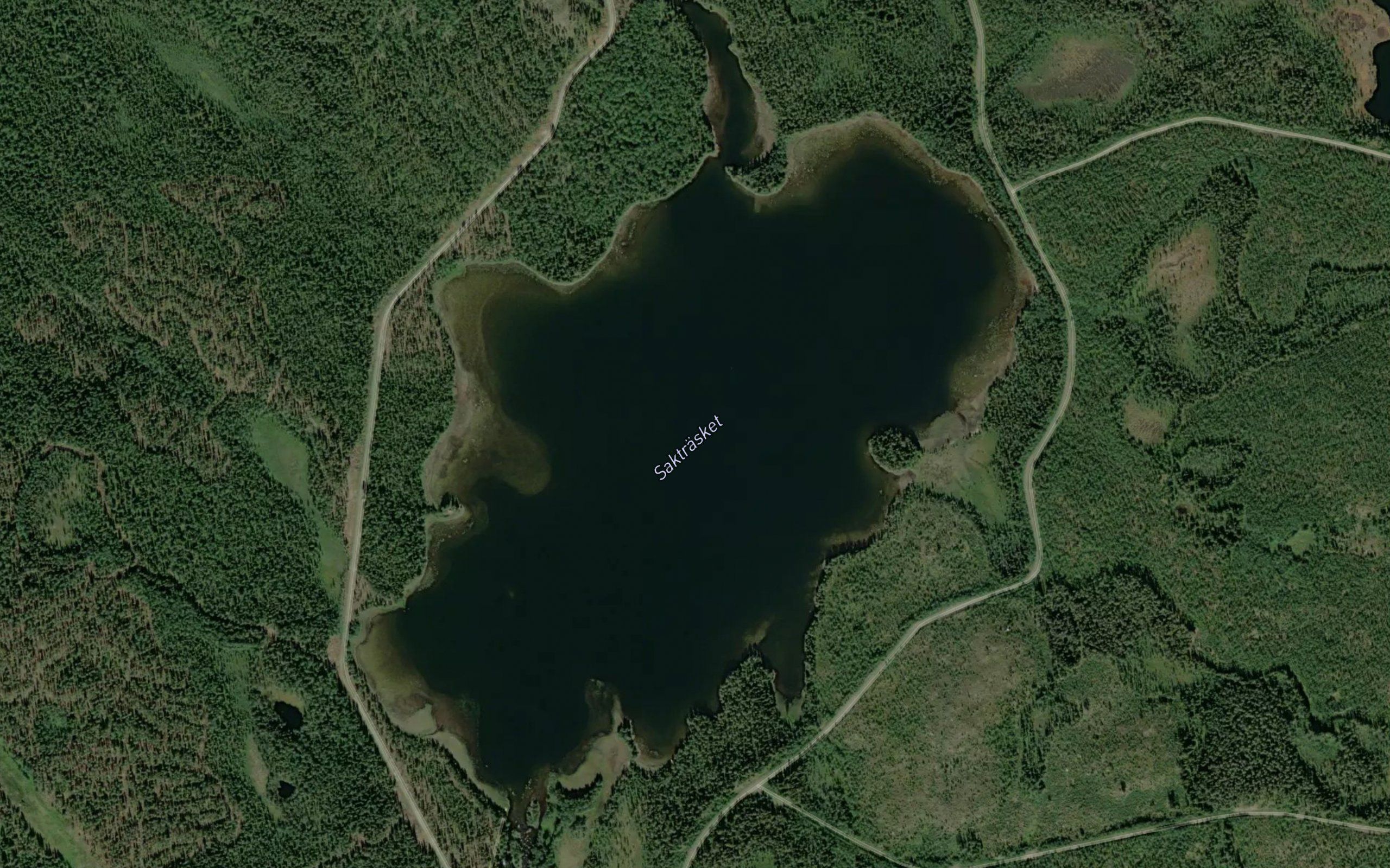 Saktraesket