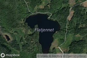 Flatjernet