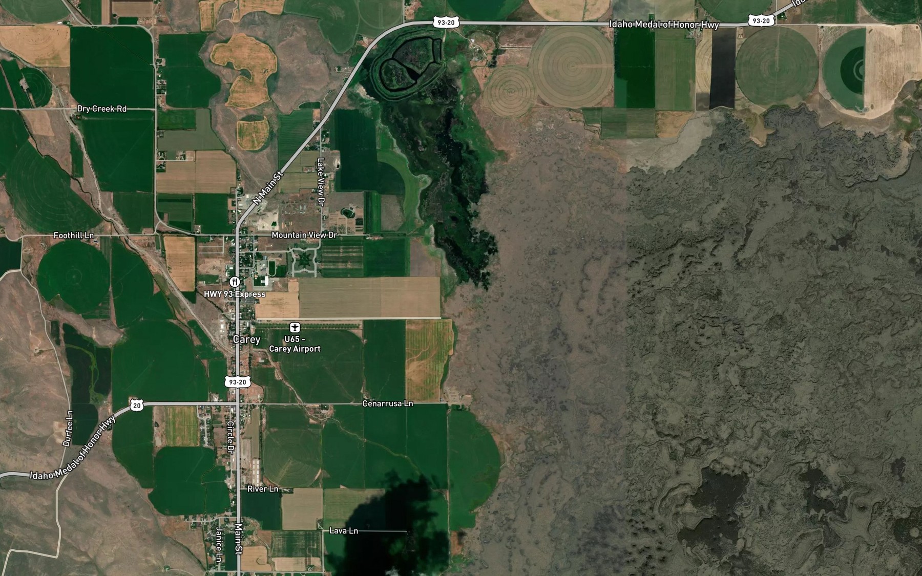 Satellite map of the Carey Lake