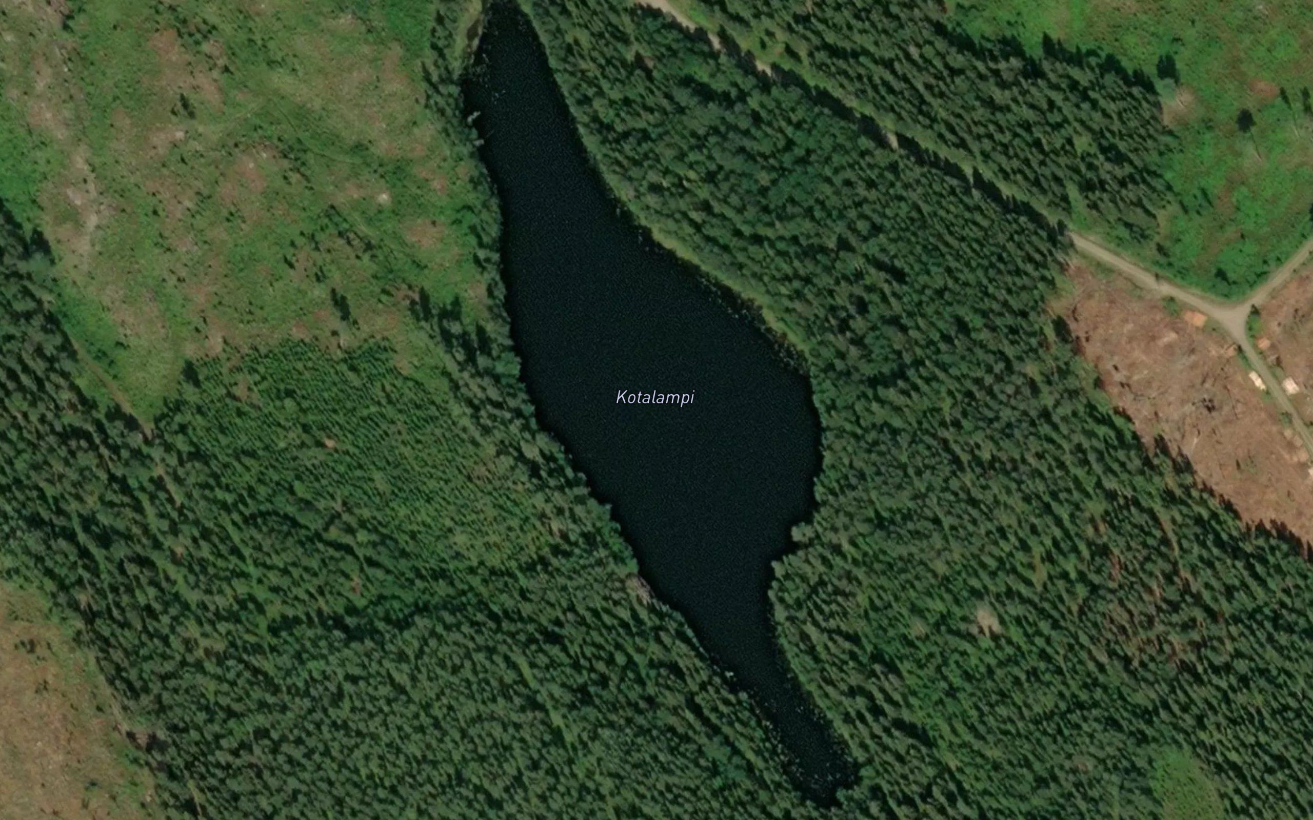 Kotalampi