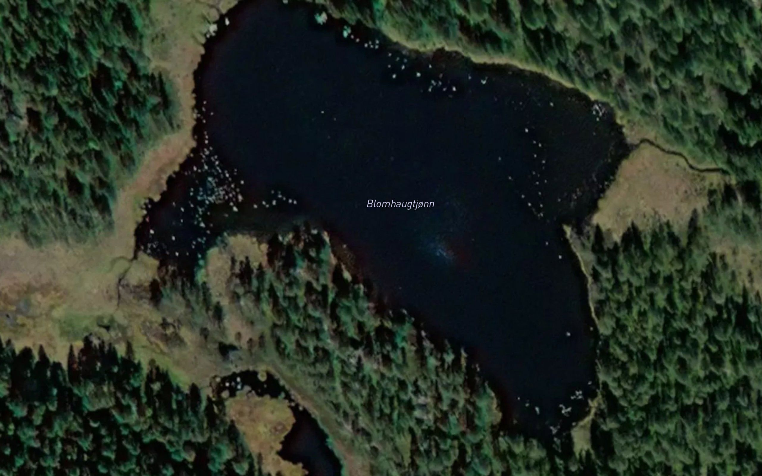 Blomhaugtjonn