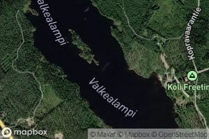 Valkealampi