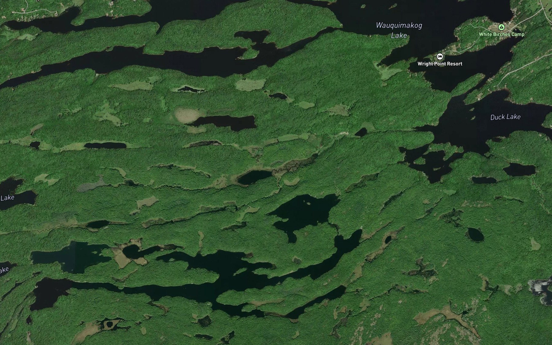 Satellite map of the Howe's Lake