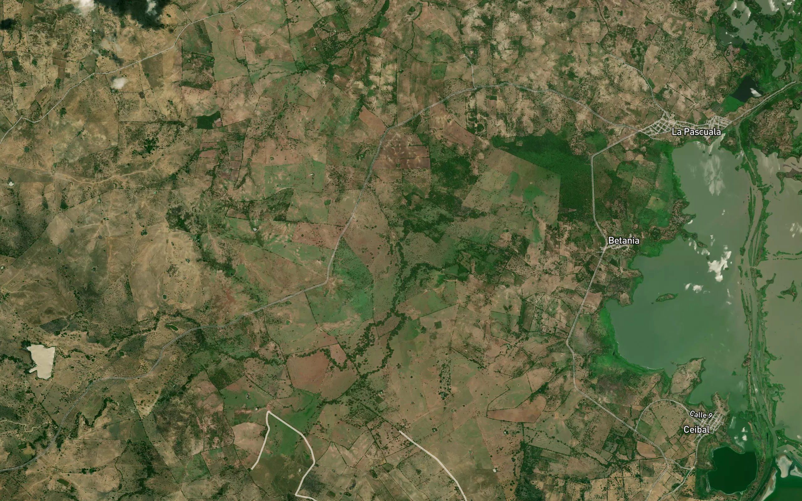 Arroyo Perucho