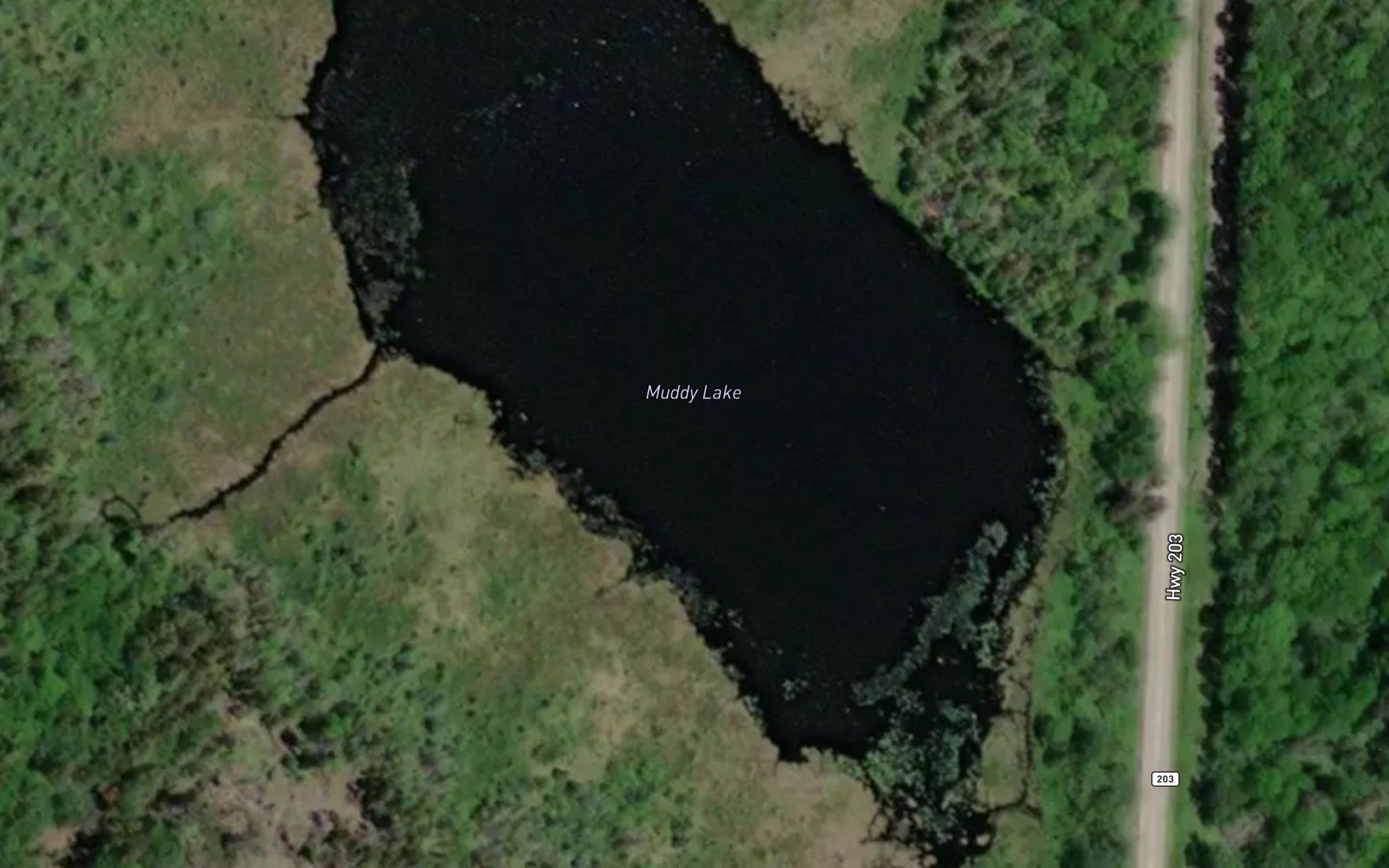 Muddy Lake