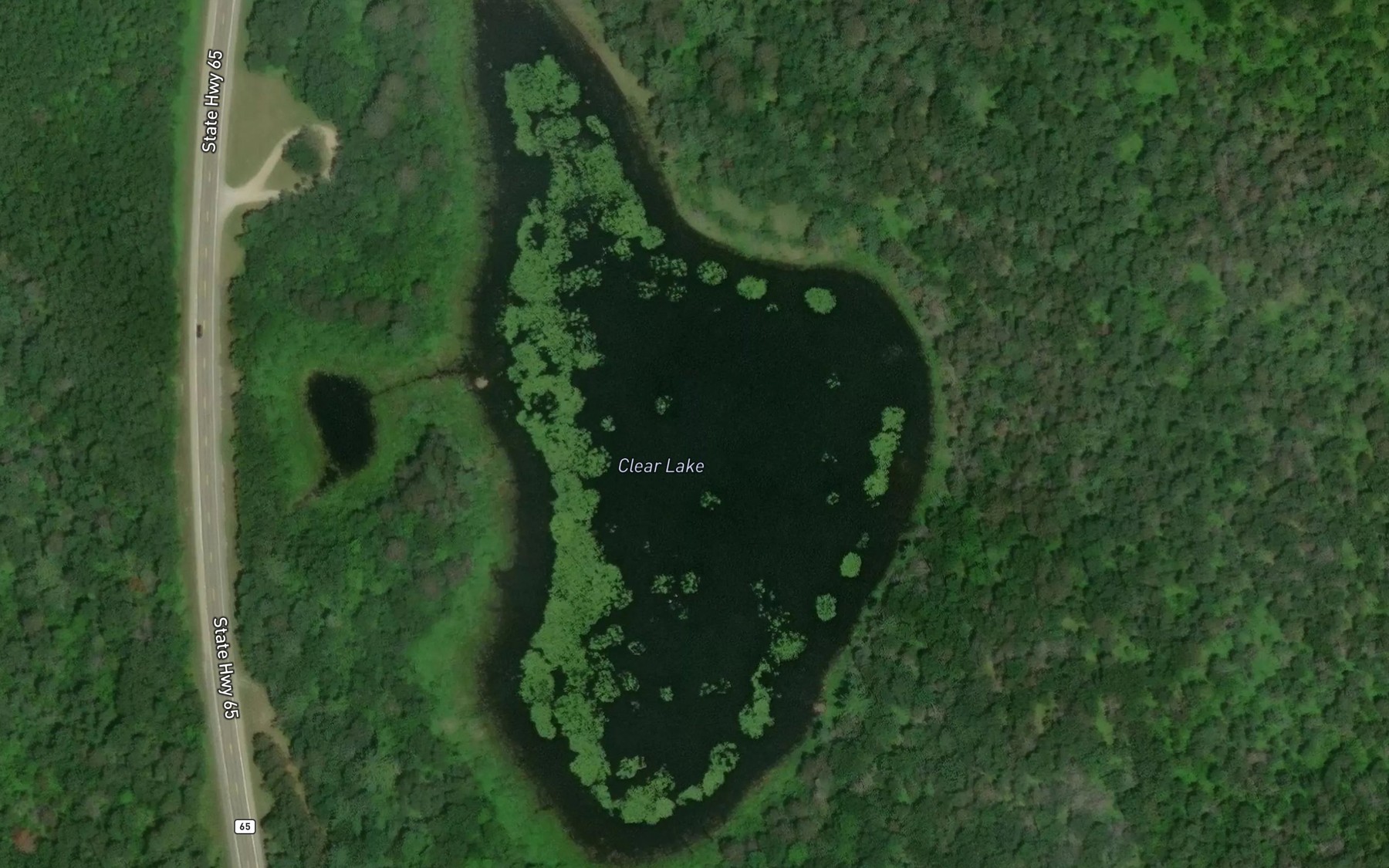 Satellite map of the Clear Lake