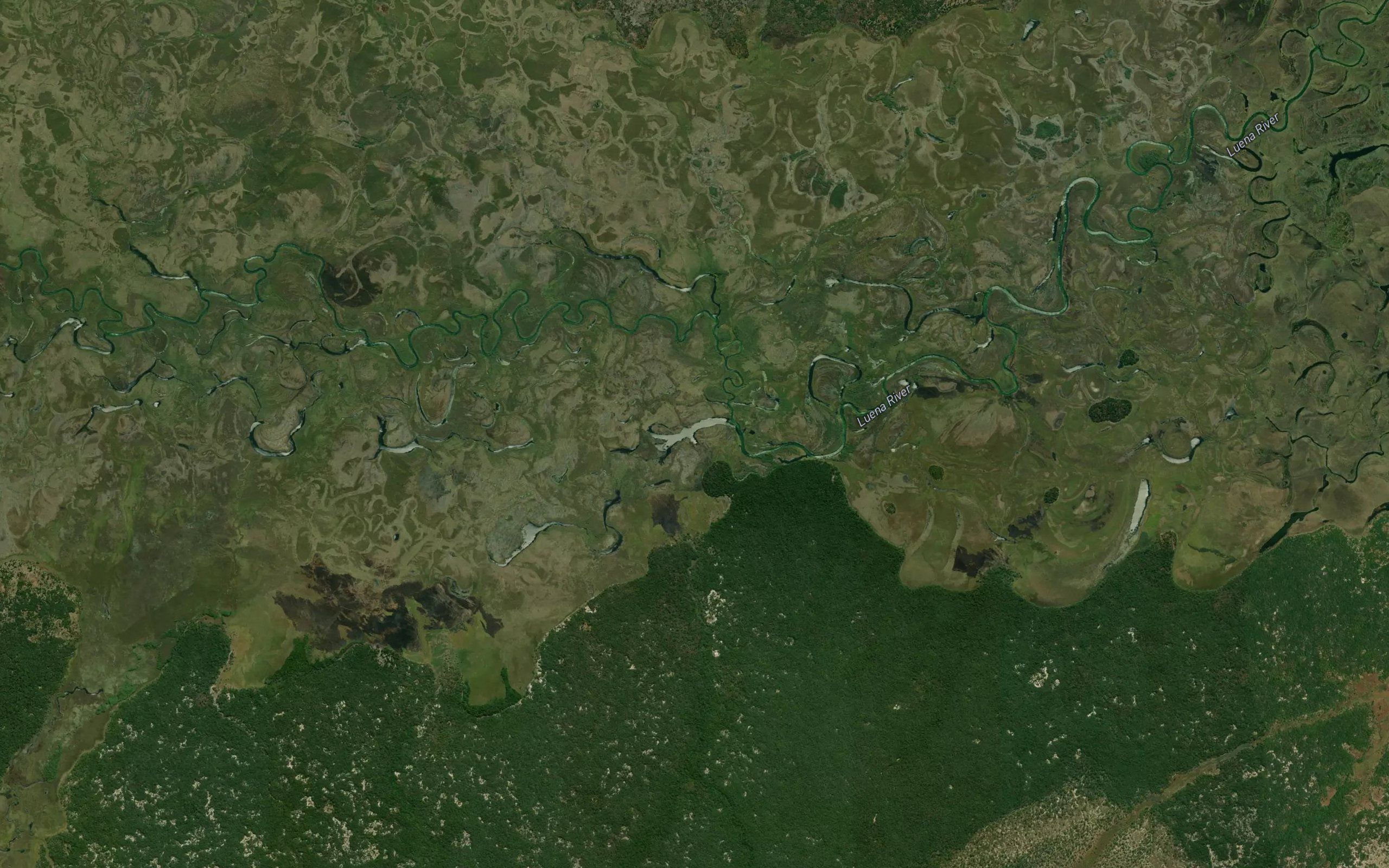 Luenzi