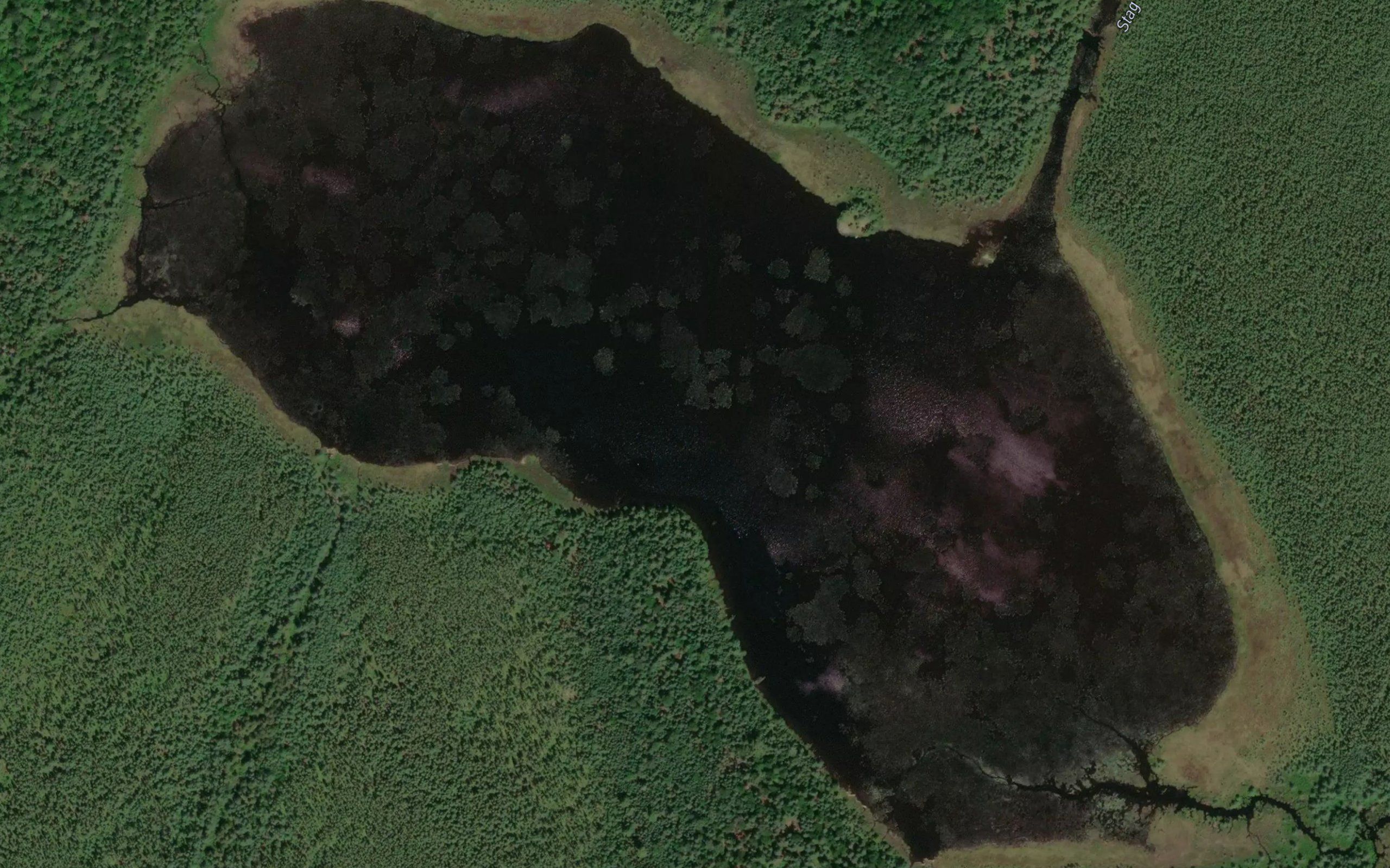 Stag Lake