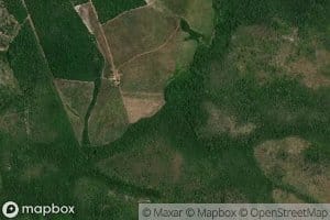 Corrego Agua Amarela