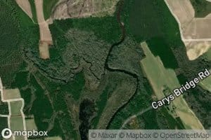 Three Creek
