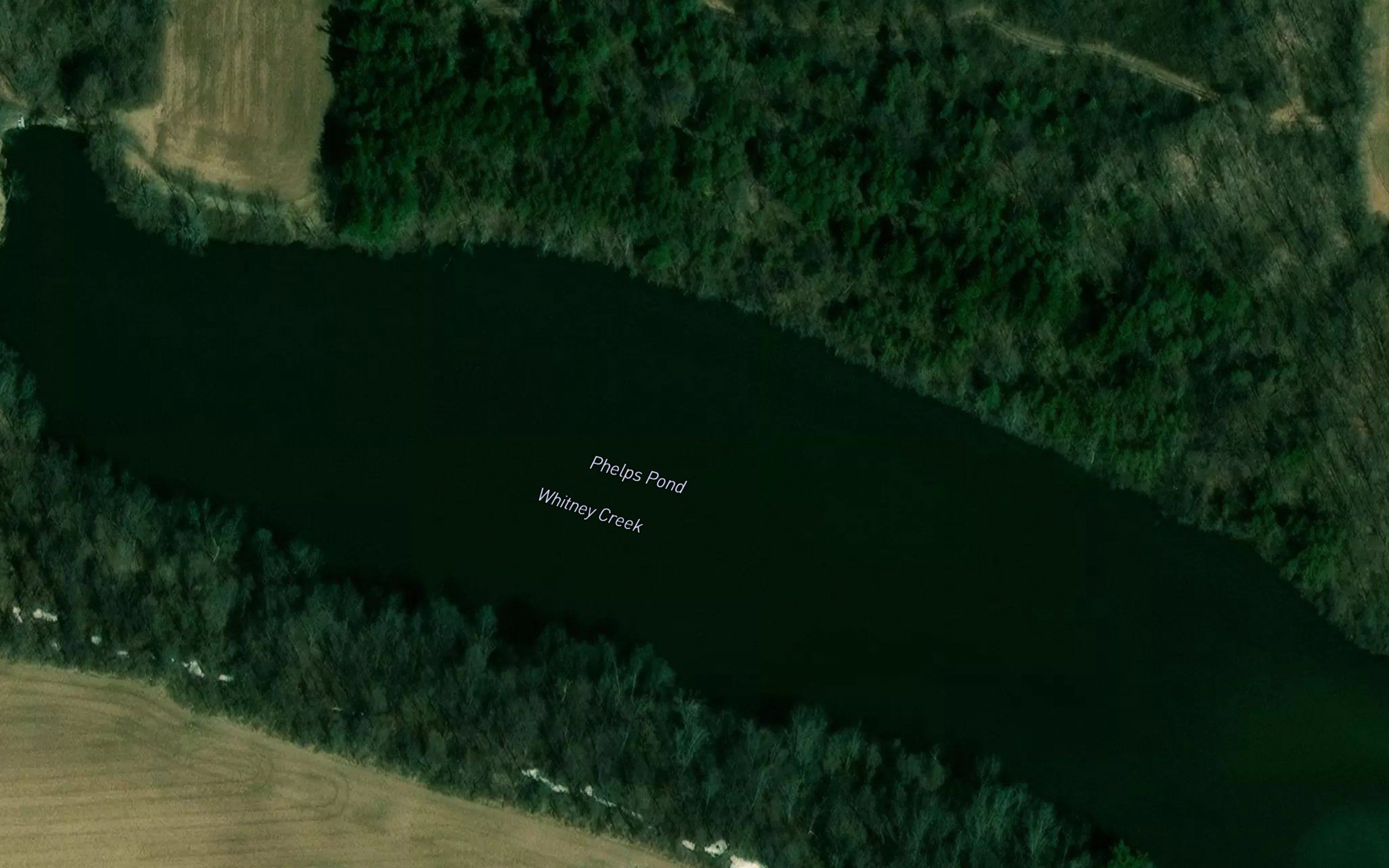 Phelps Pond