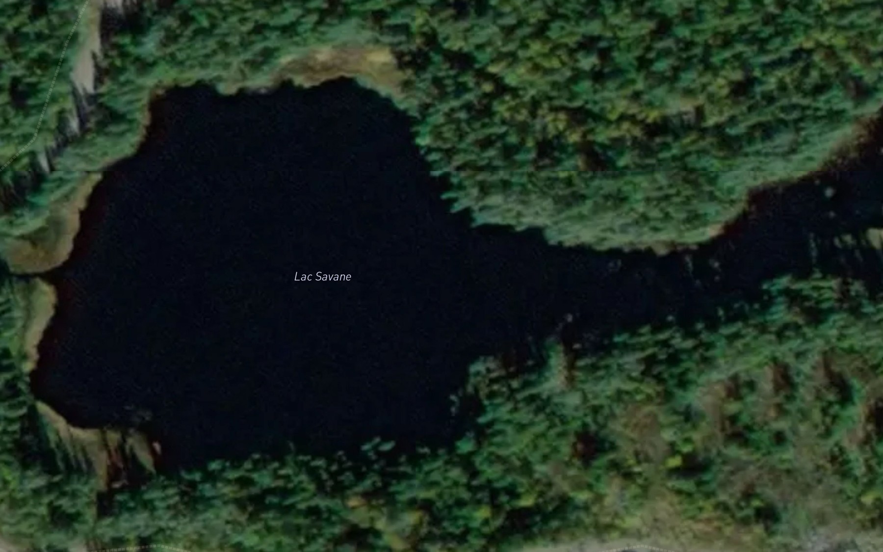 Satellite map of the Lac Savane