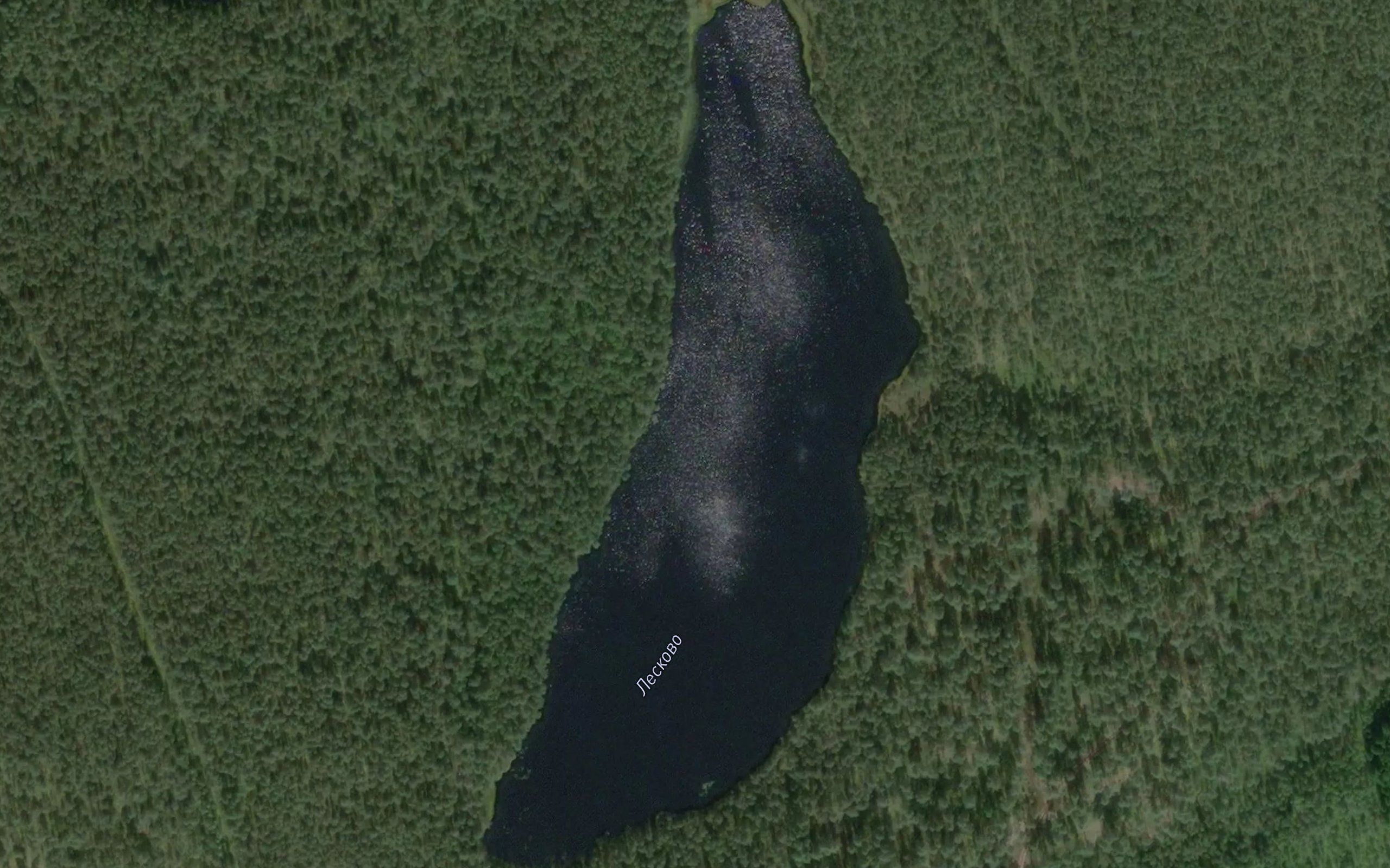 Ozero Leskovskoye