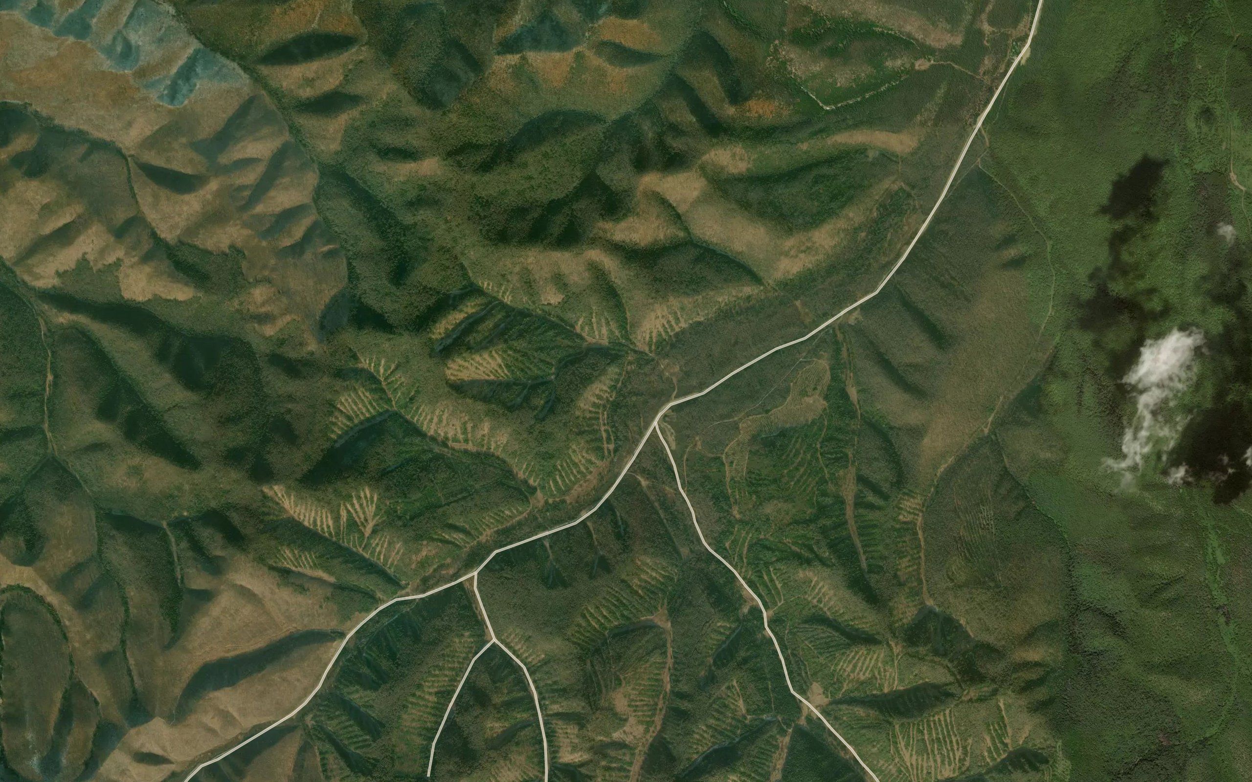 Razvilok