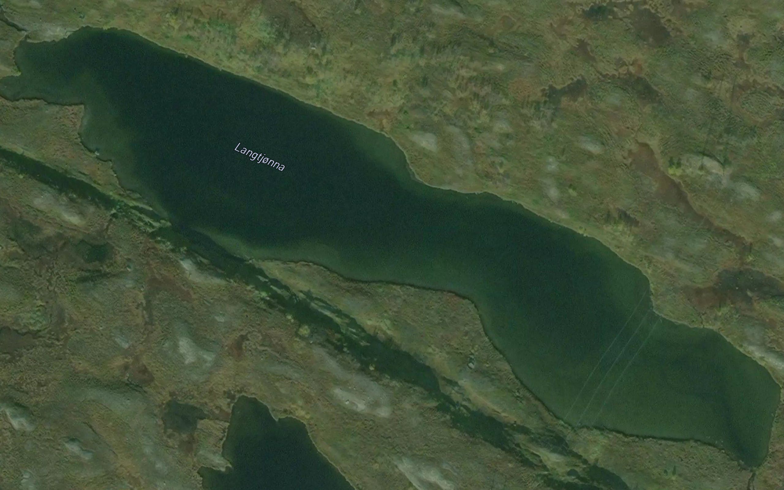 Langtjorna
