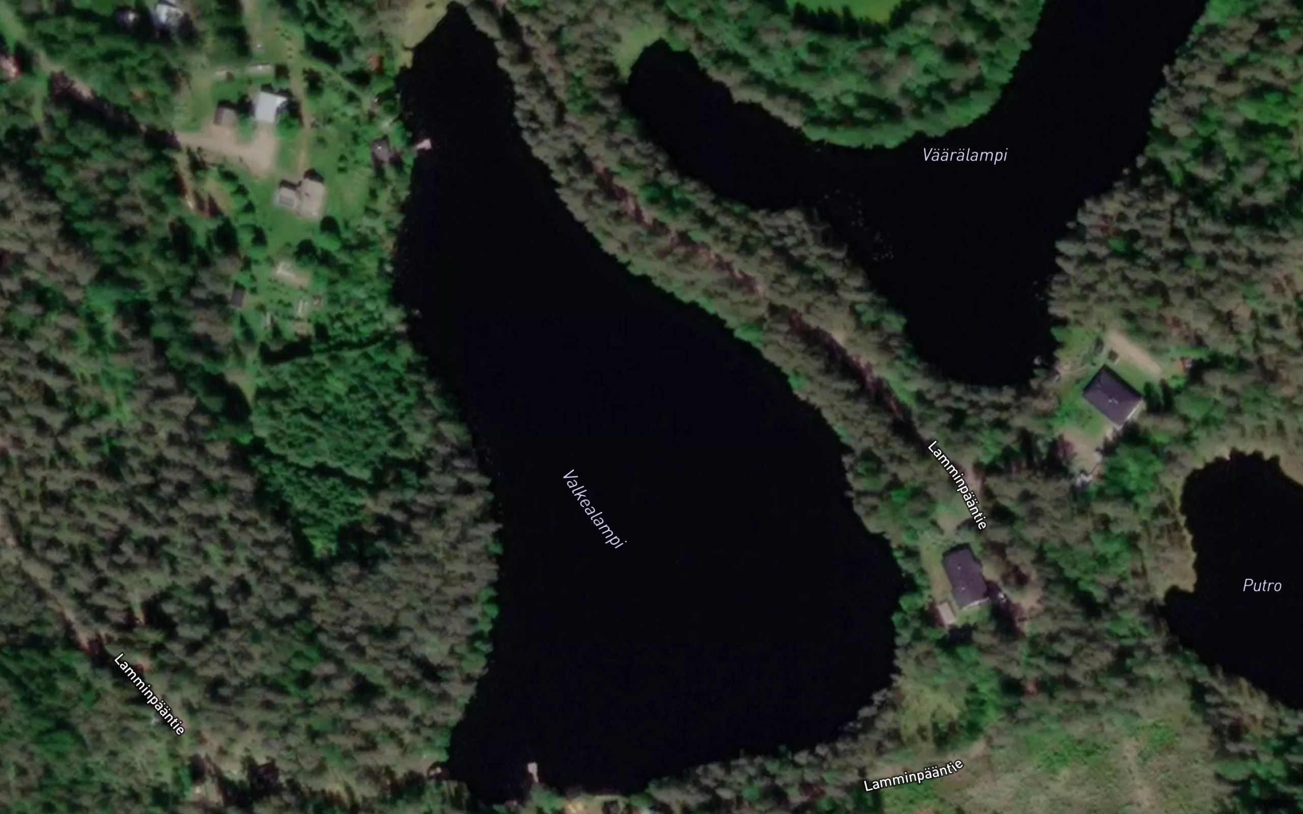 Valkealampi