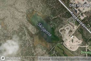 Skitjorna