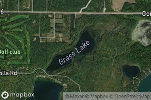 Grass Lake