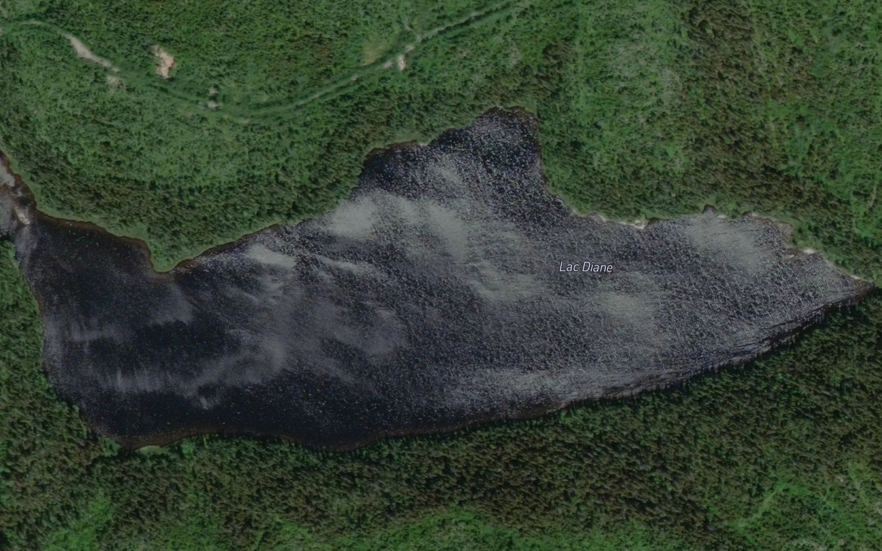 Satellite map of the Lac Diane