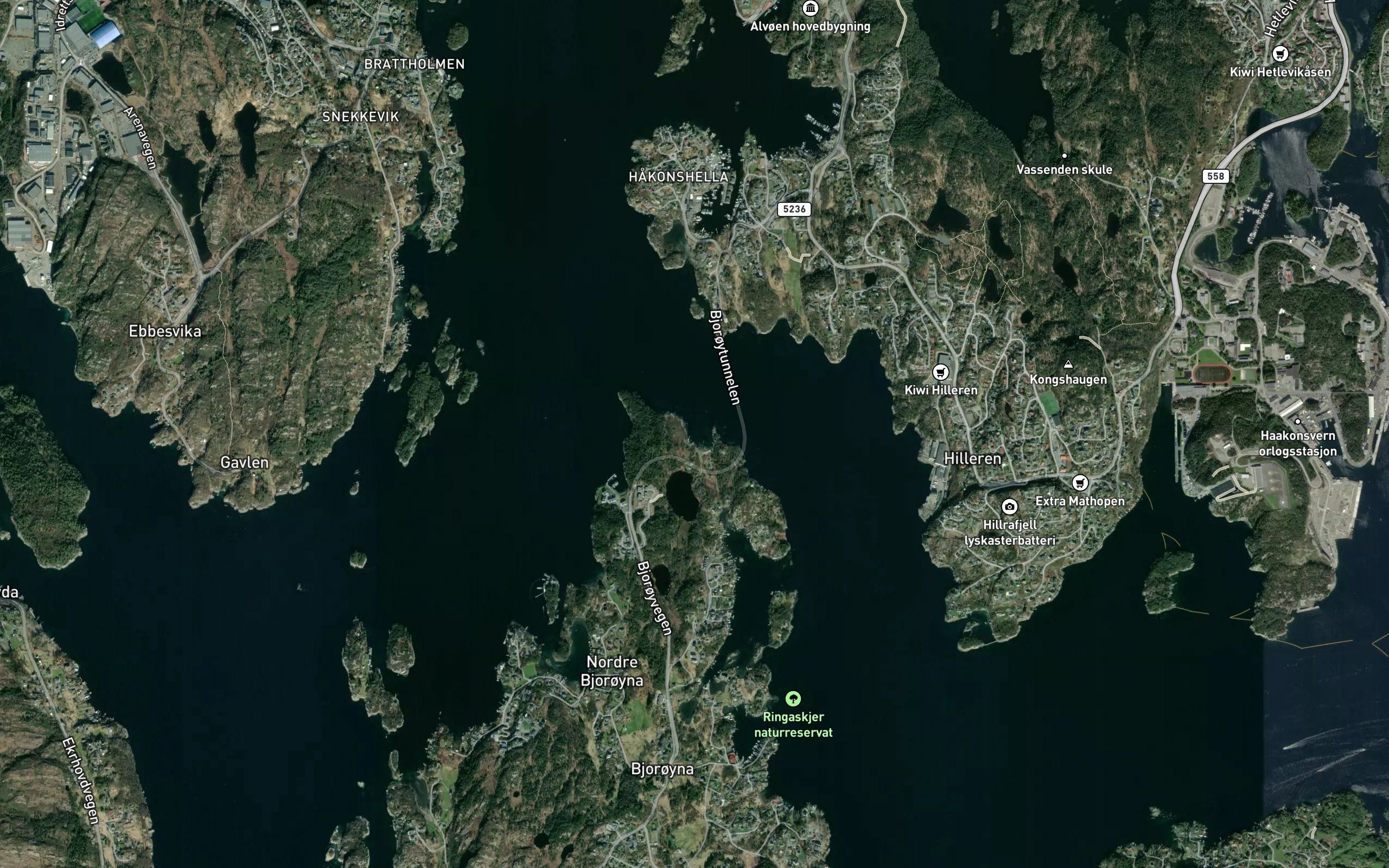 Rovika