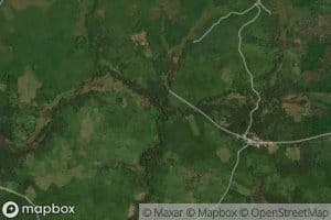 Batiola