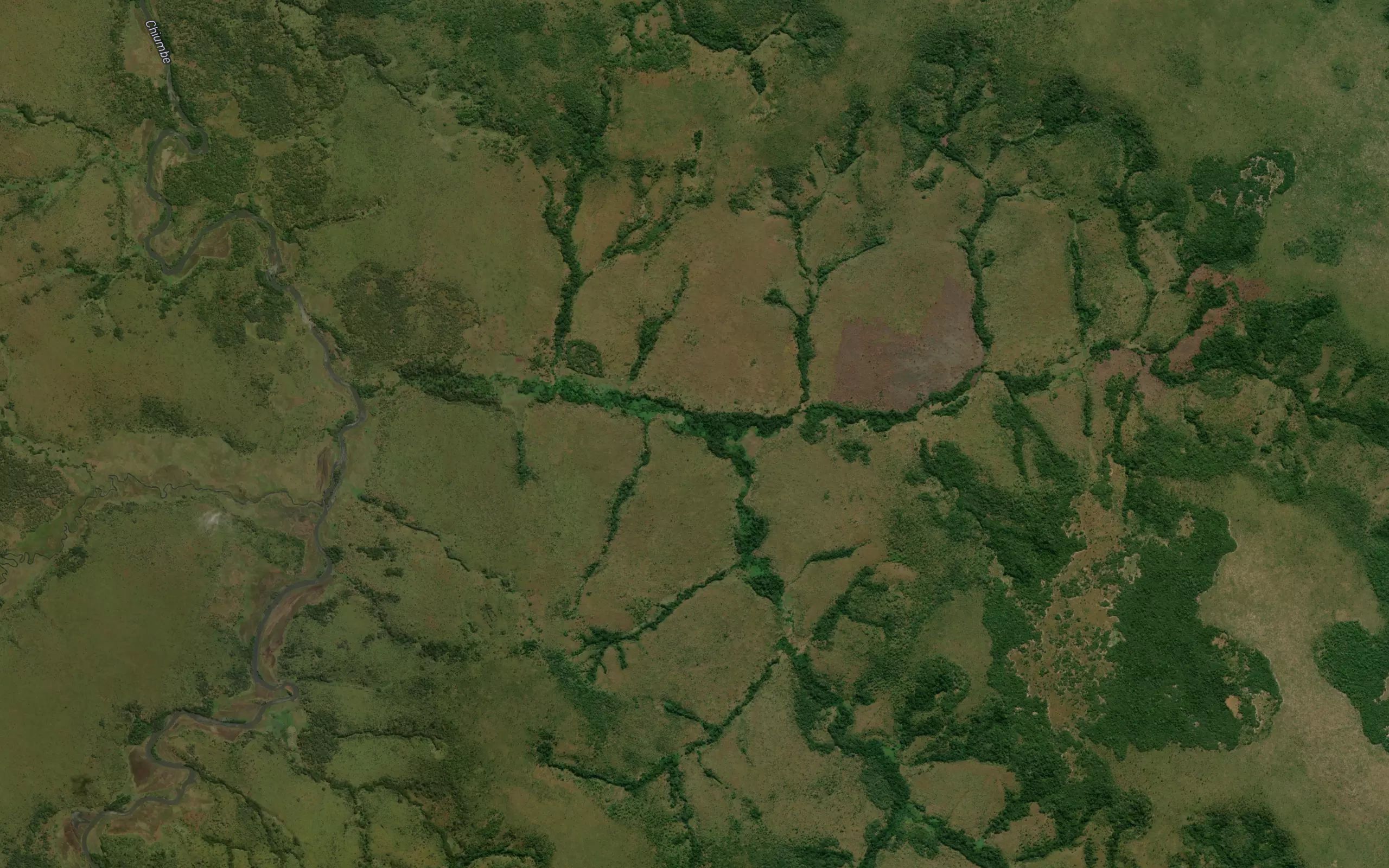 Muanguege