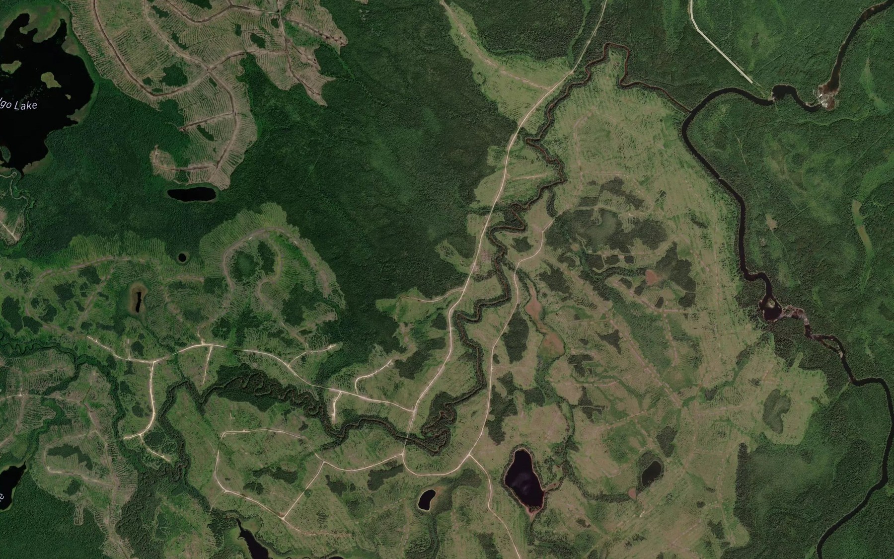 Satellite map of the Ruth Creek