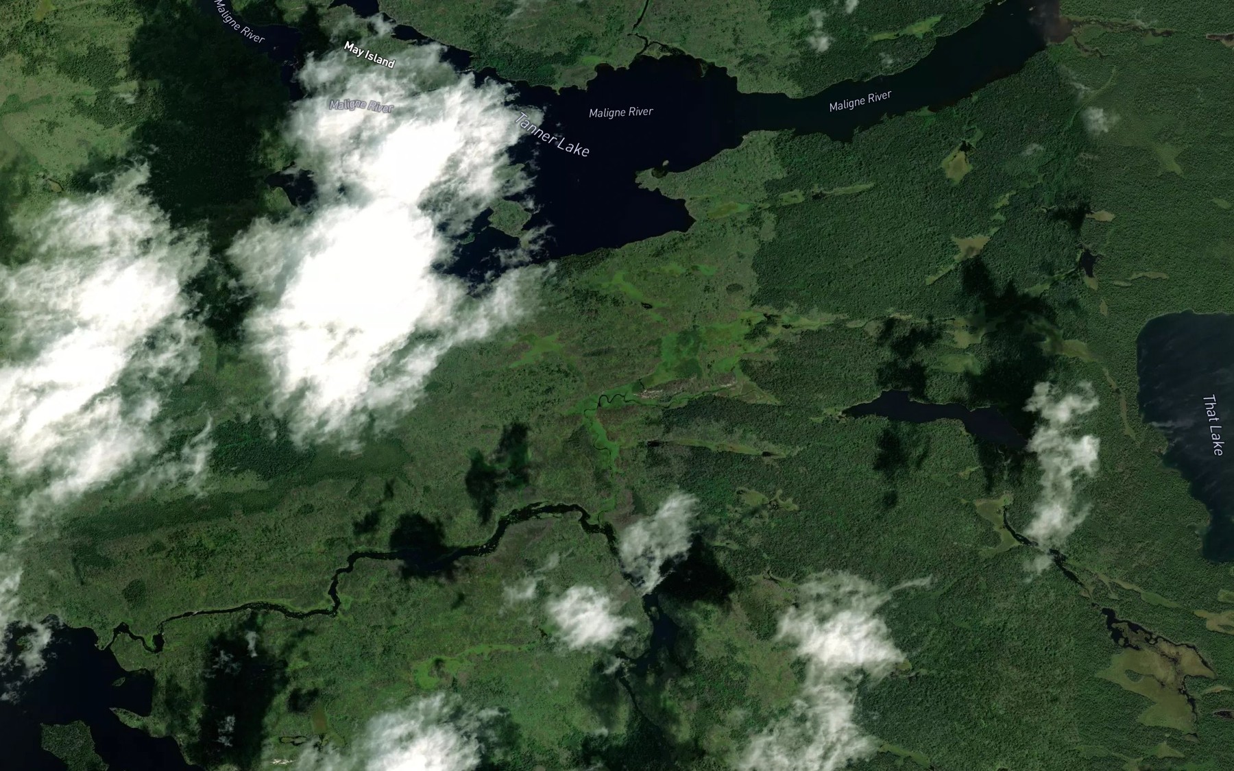 Satellite map of the Andrews Creek