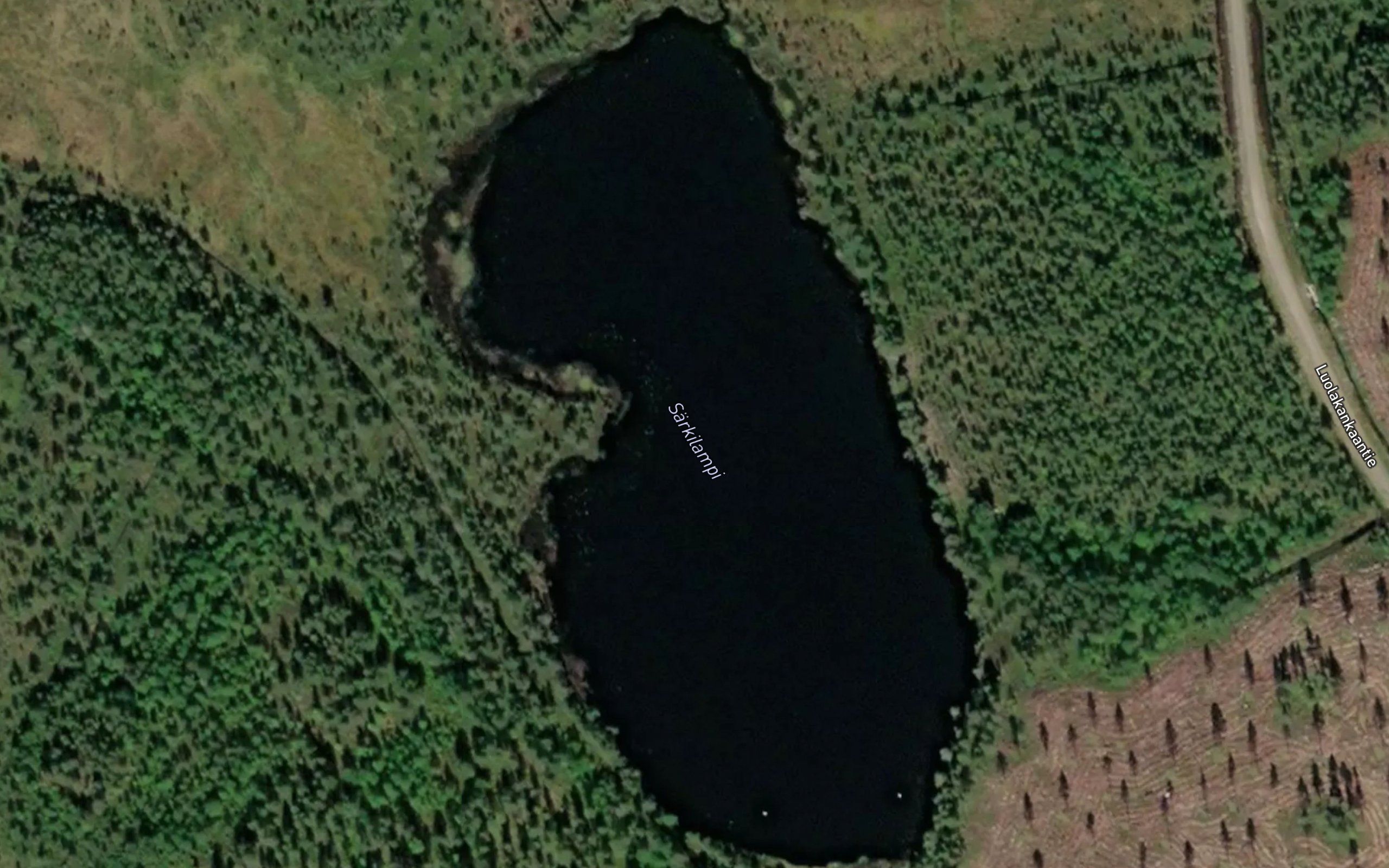 Sarkilampi