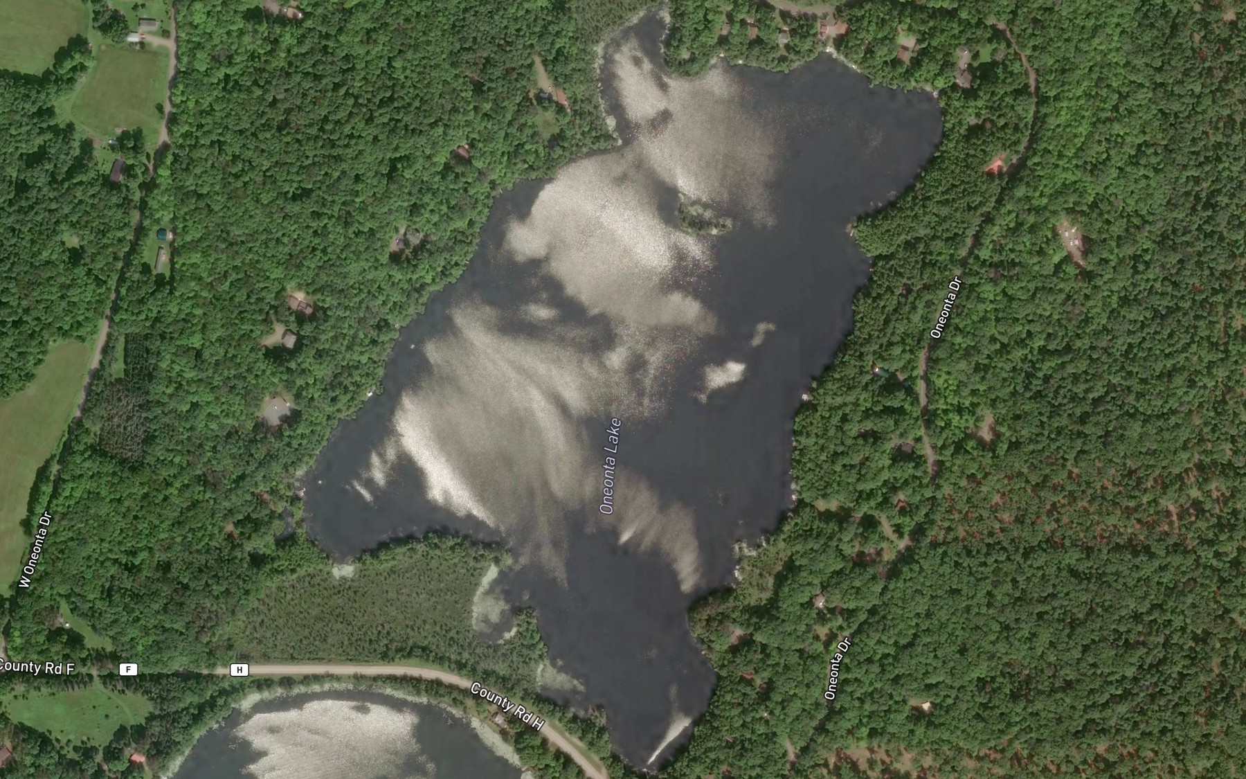 Satellite map of the Oneonta Lake