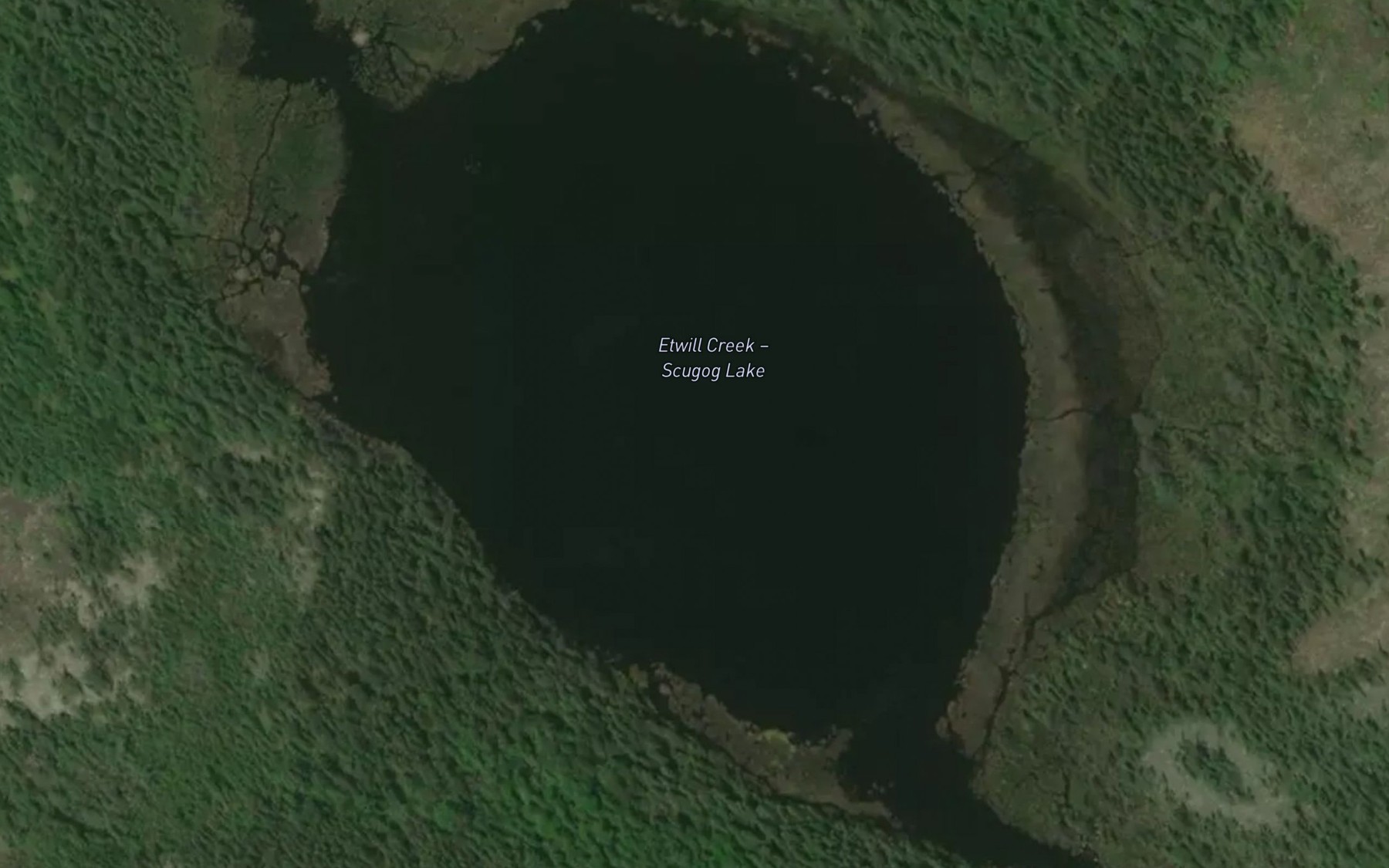 Satellite map of the Scugog Lake