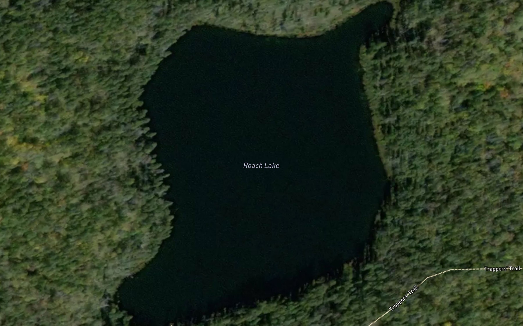 Satellite map of the Roach Lake