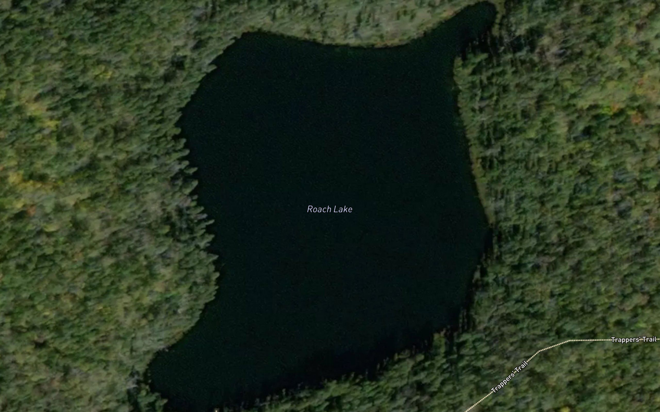 Roach Lake