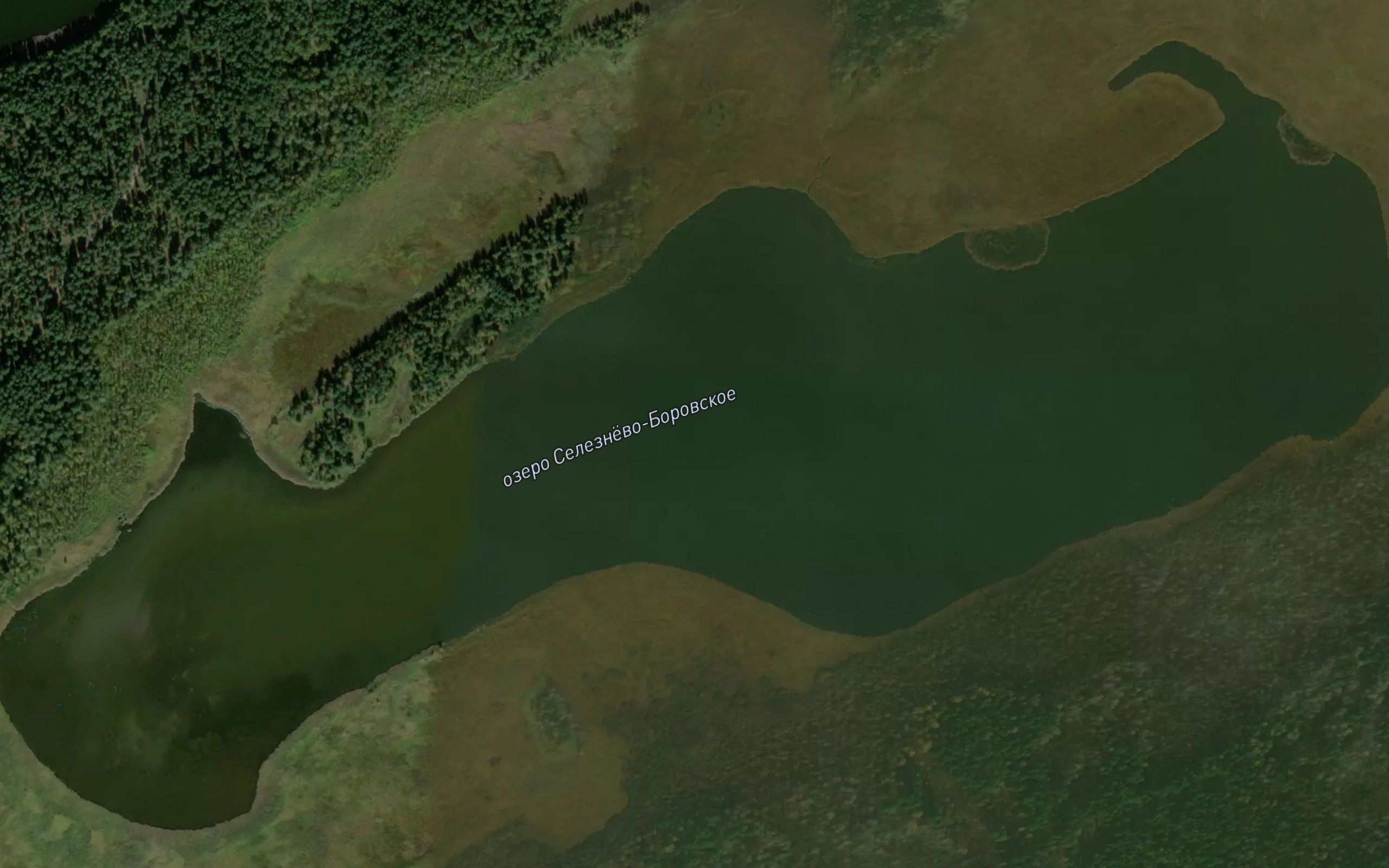 Ozero Seleznevo-Baranovskoye