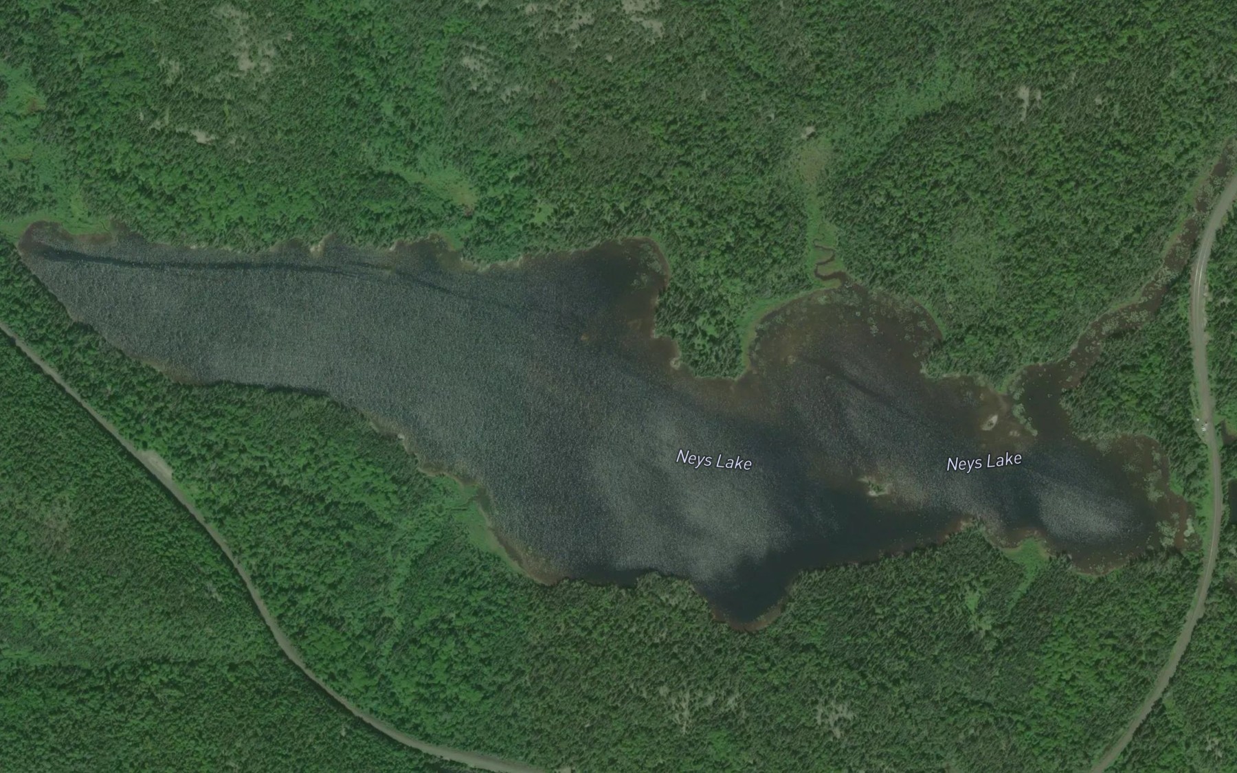 Satellite map of the Neys Lake