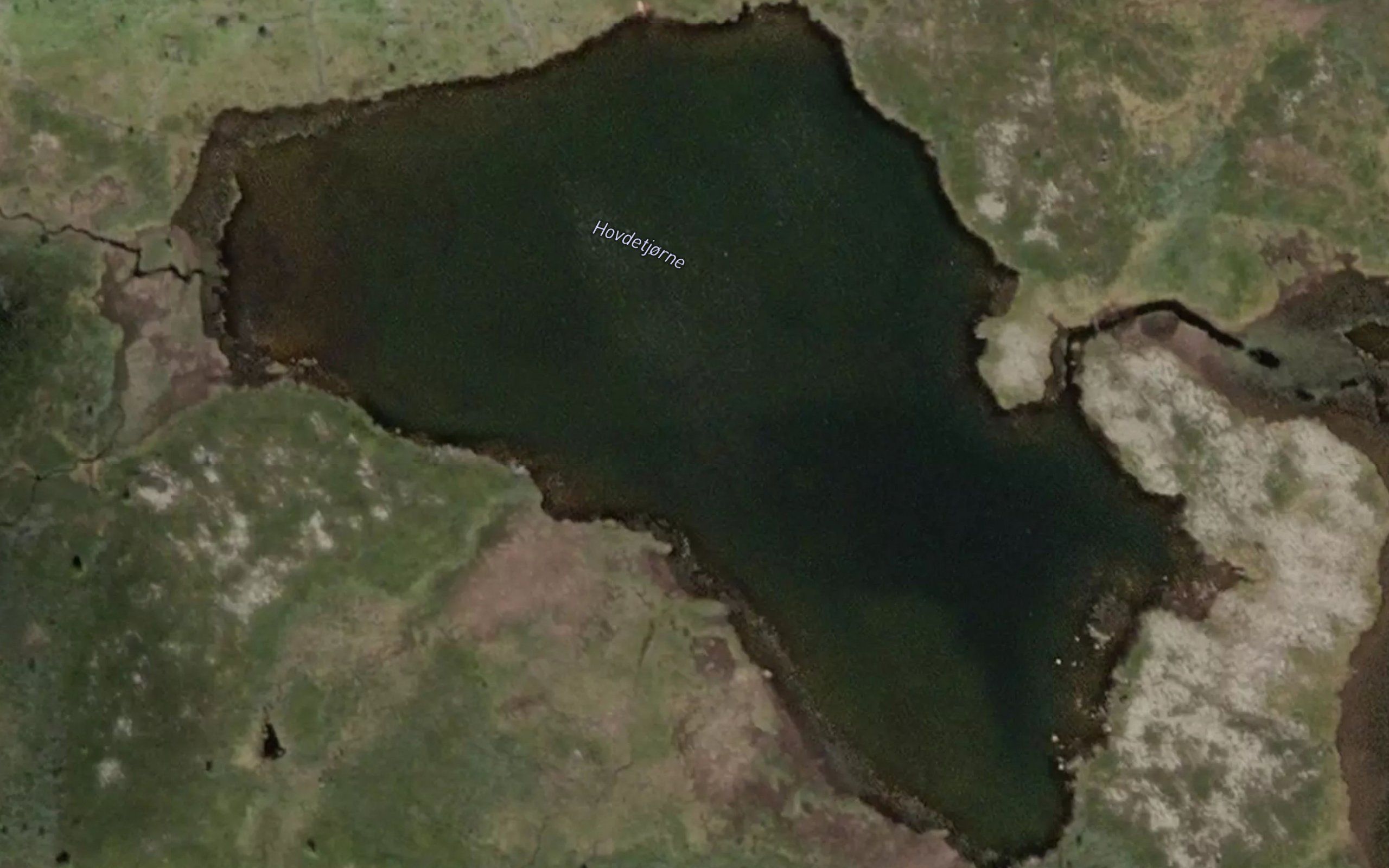Hovdetjodne