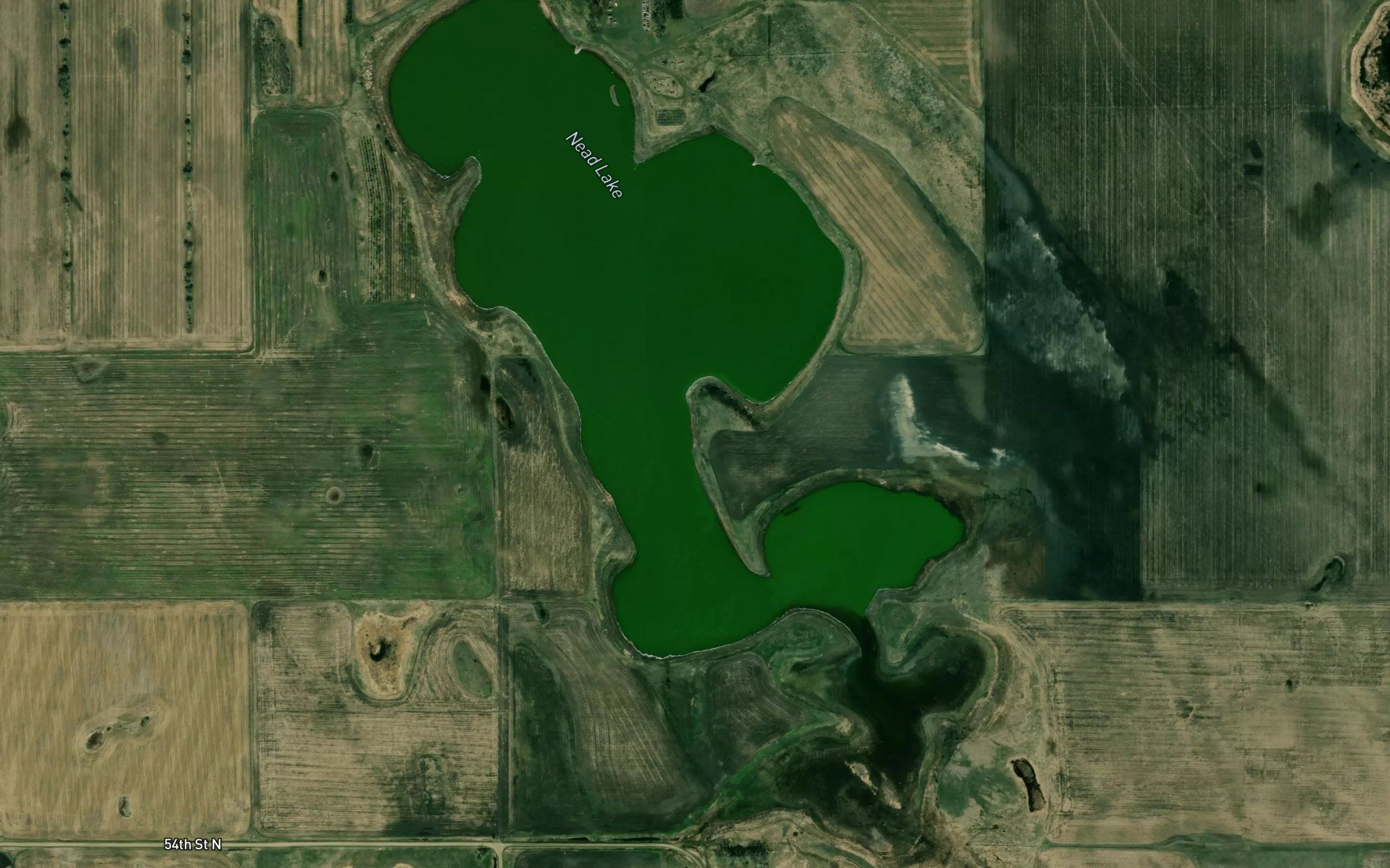 Nead Lake