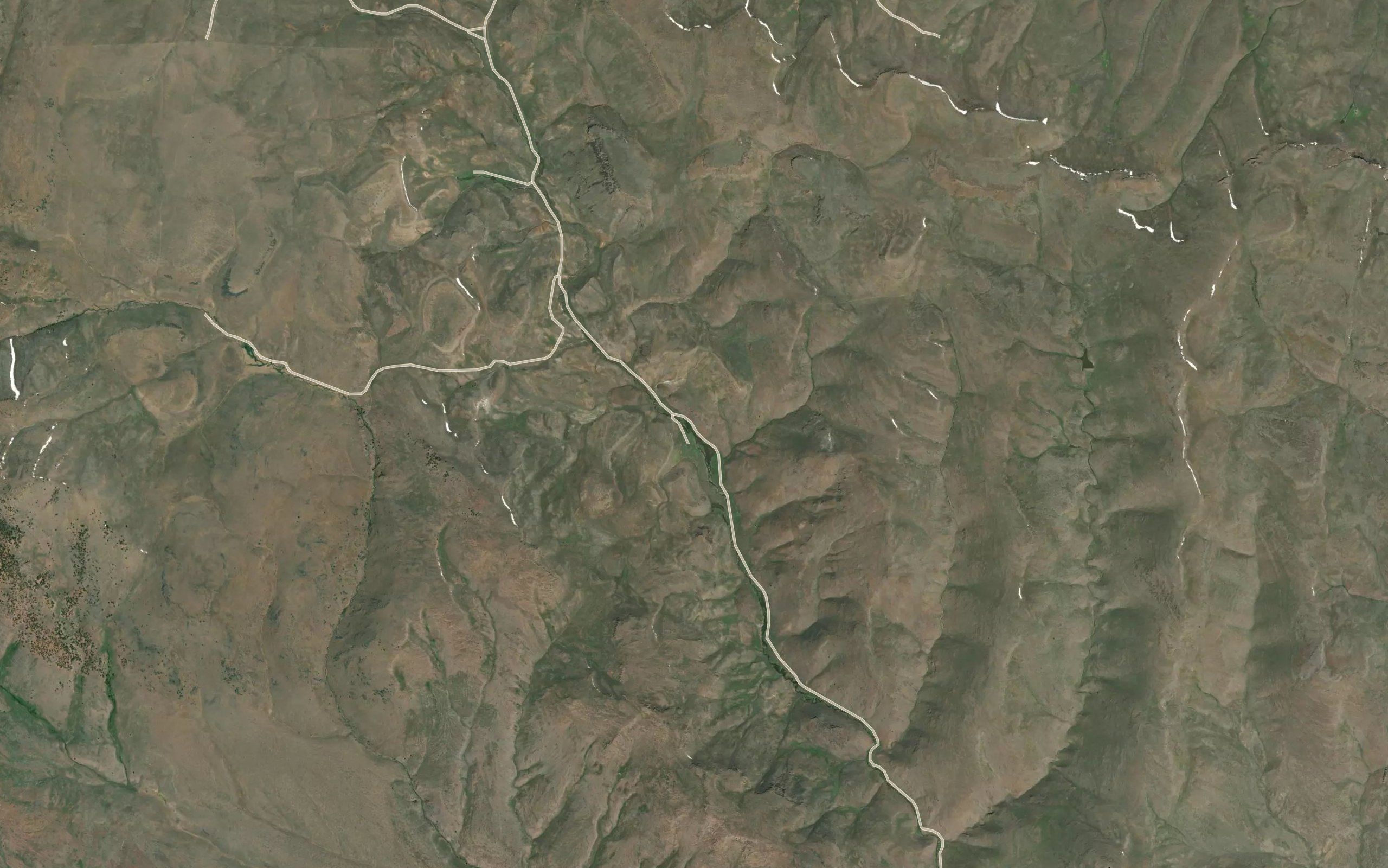 Marking Corral Springs