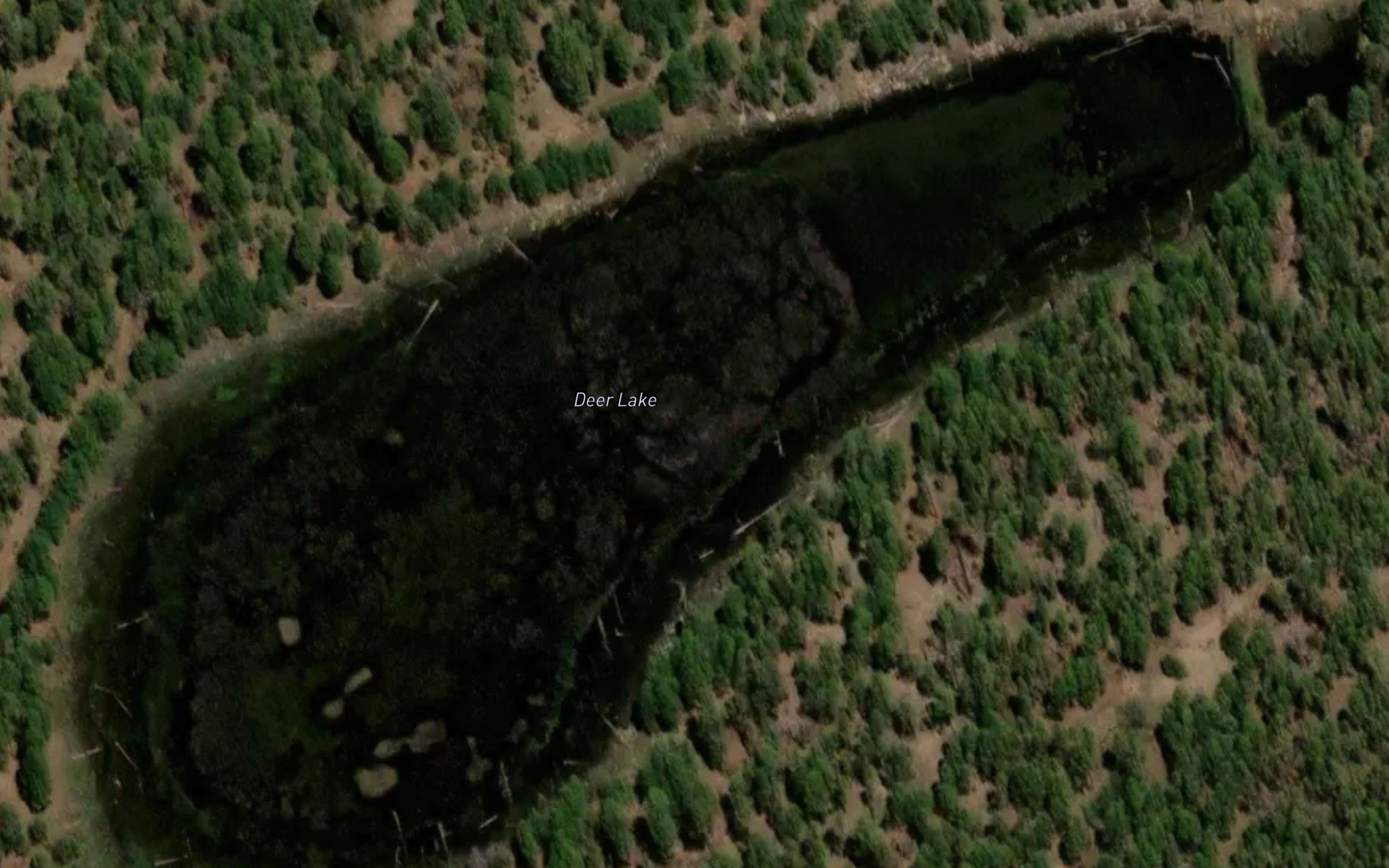 Deer Lake