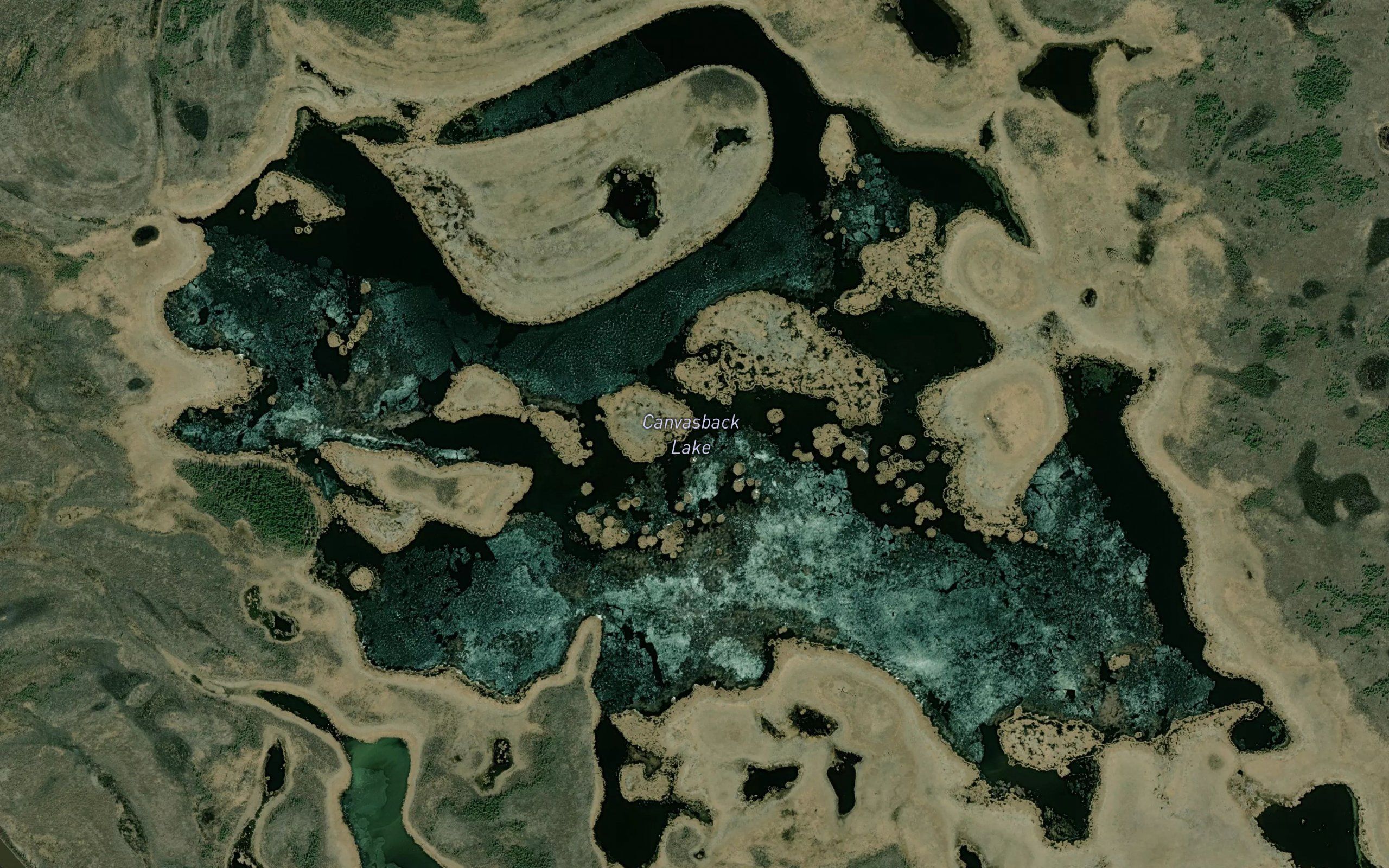 Canvasback Lake