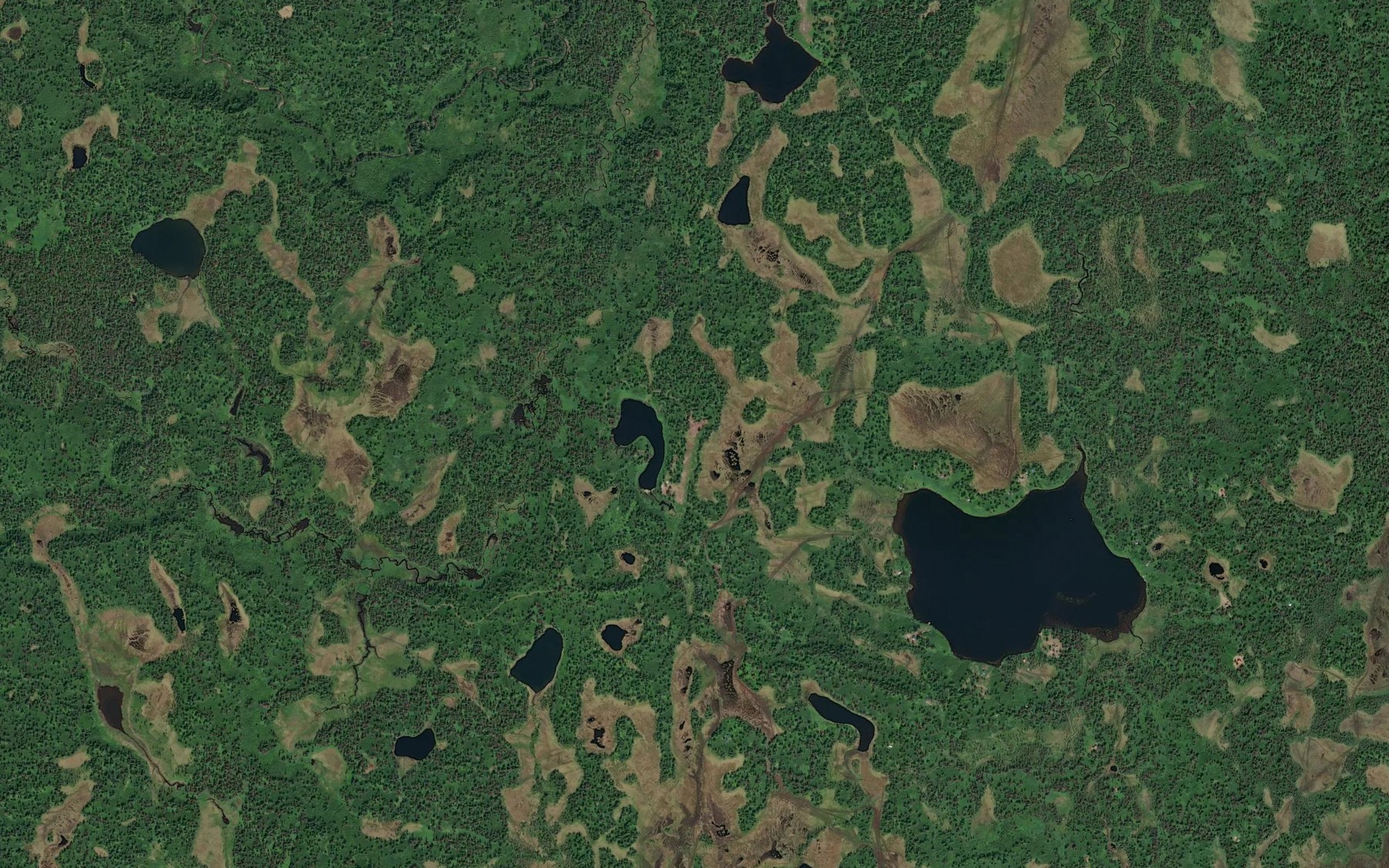 Satellite map of the Limber Lake