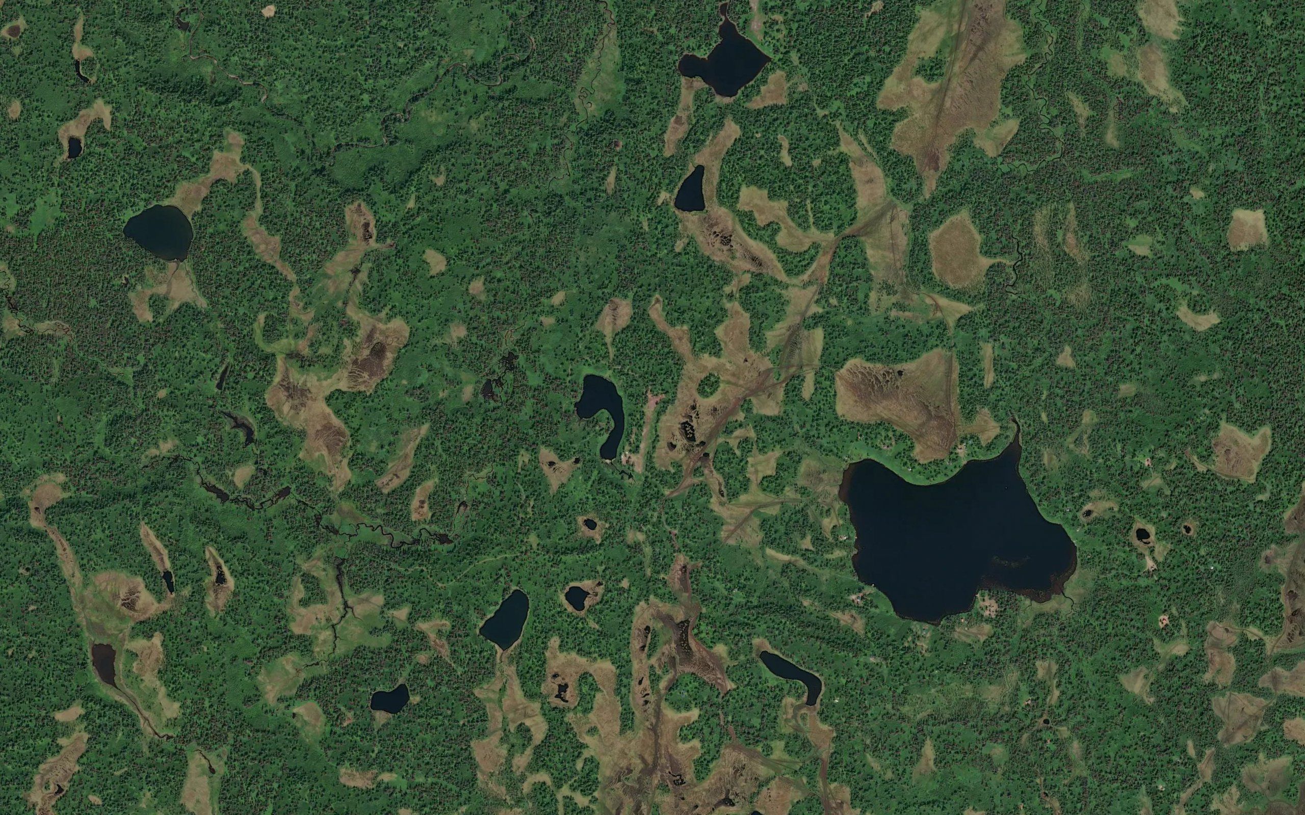 Limber Lake