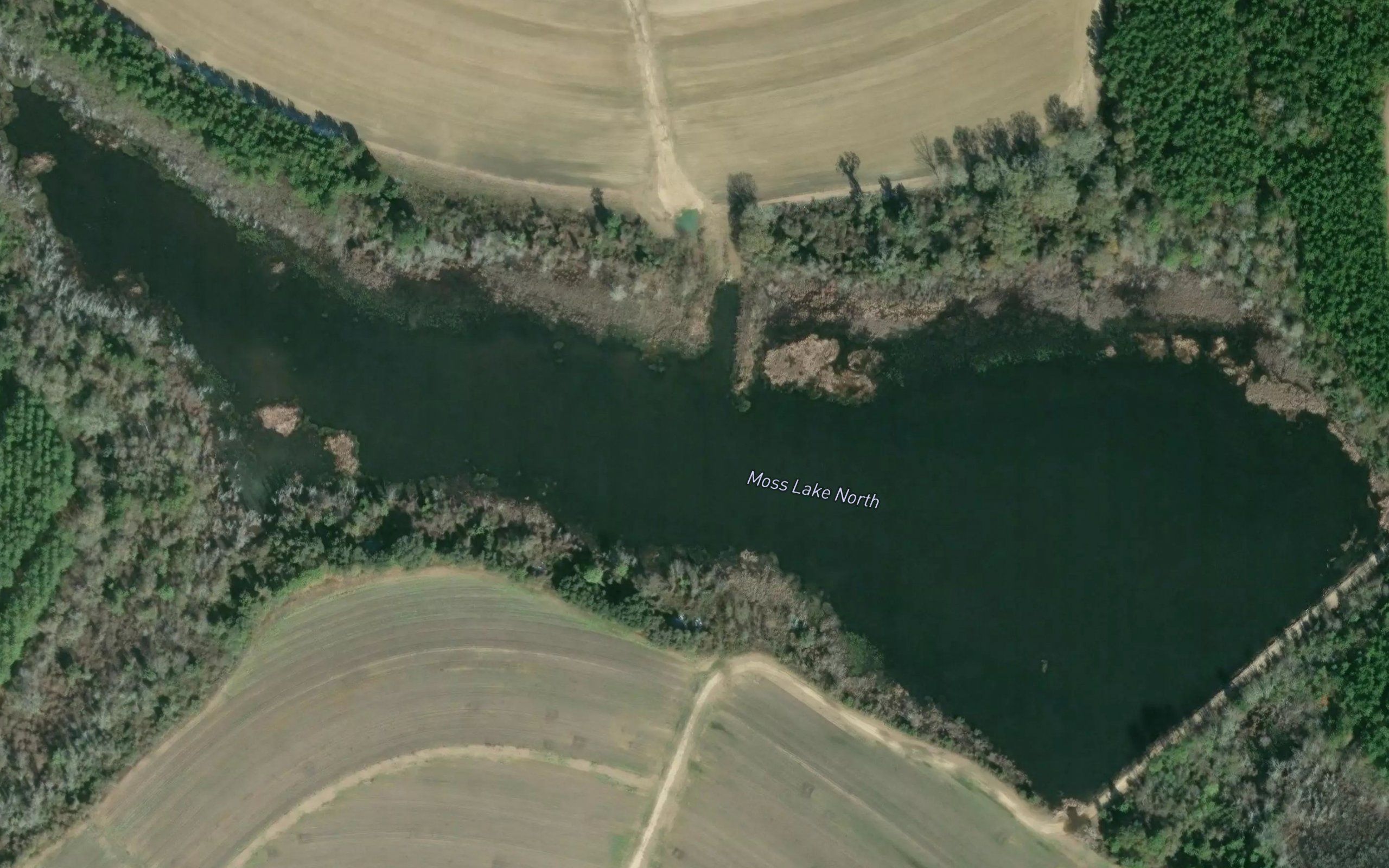 Moss Lake North
