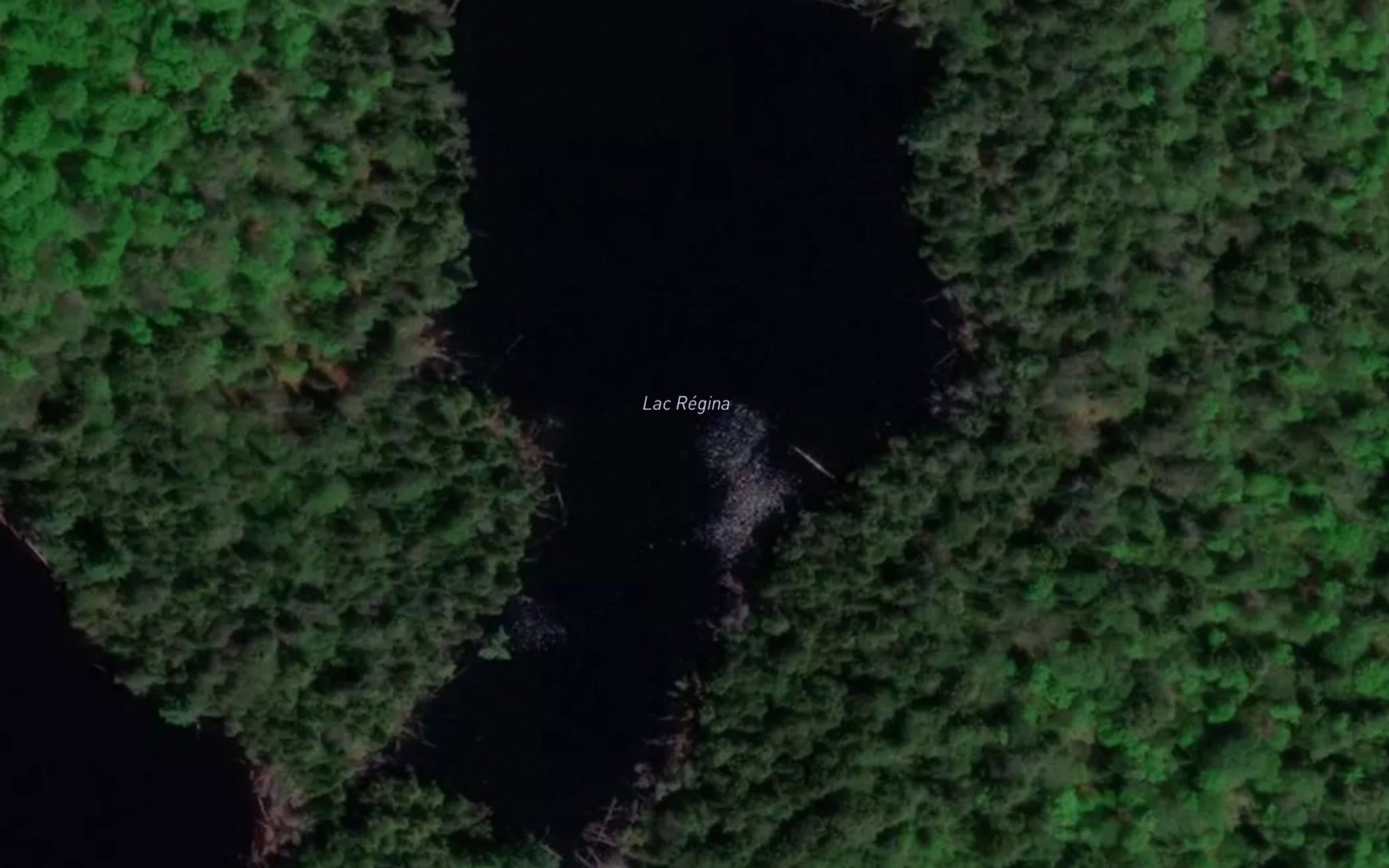 Satellite map of the Lac Regina