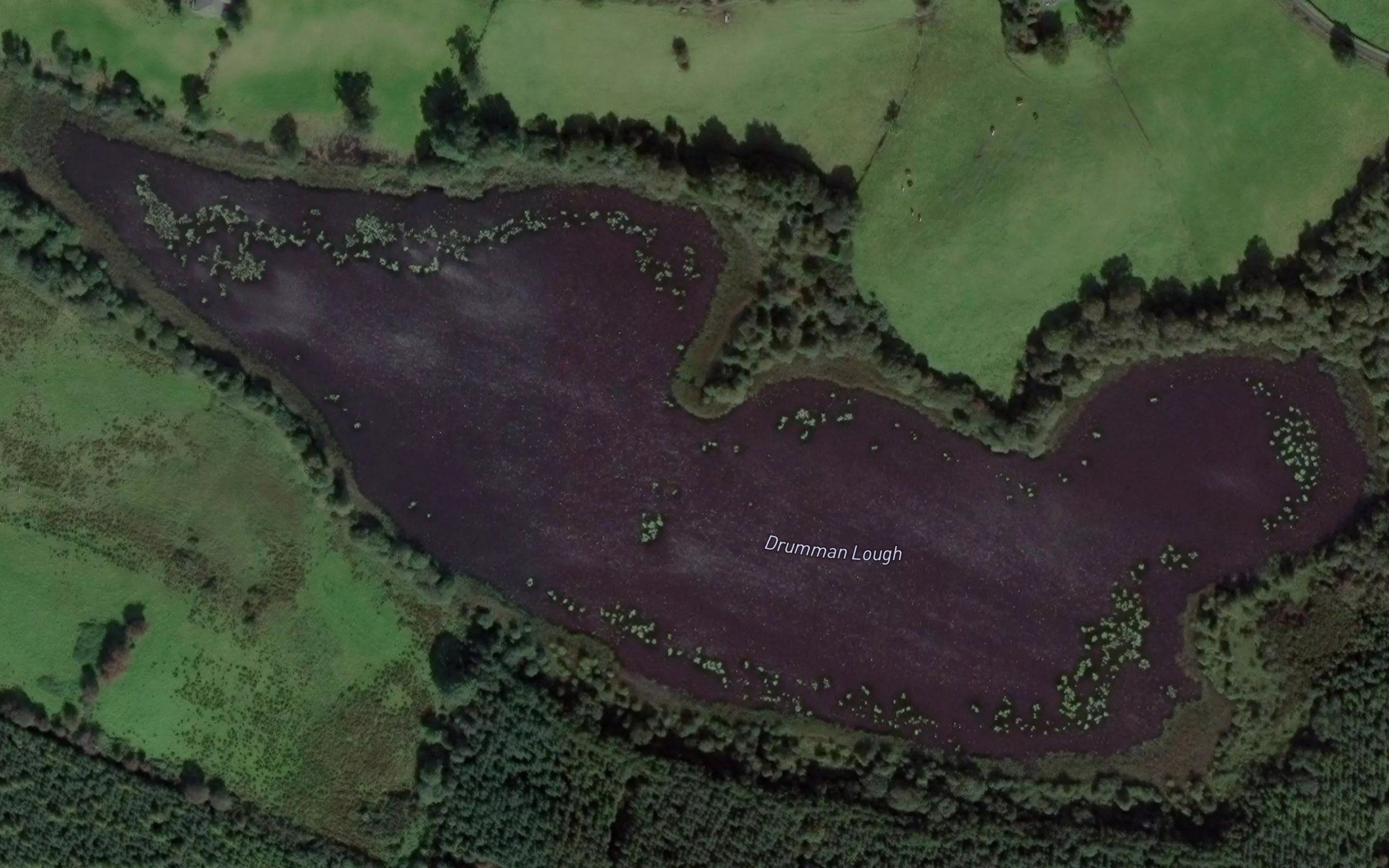 Drumman Lough