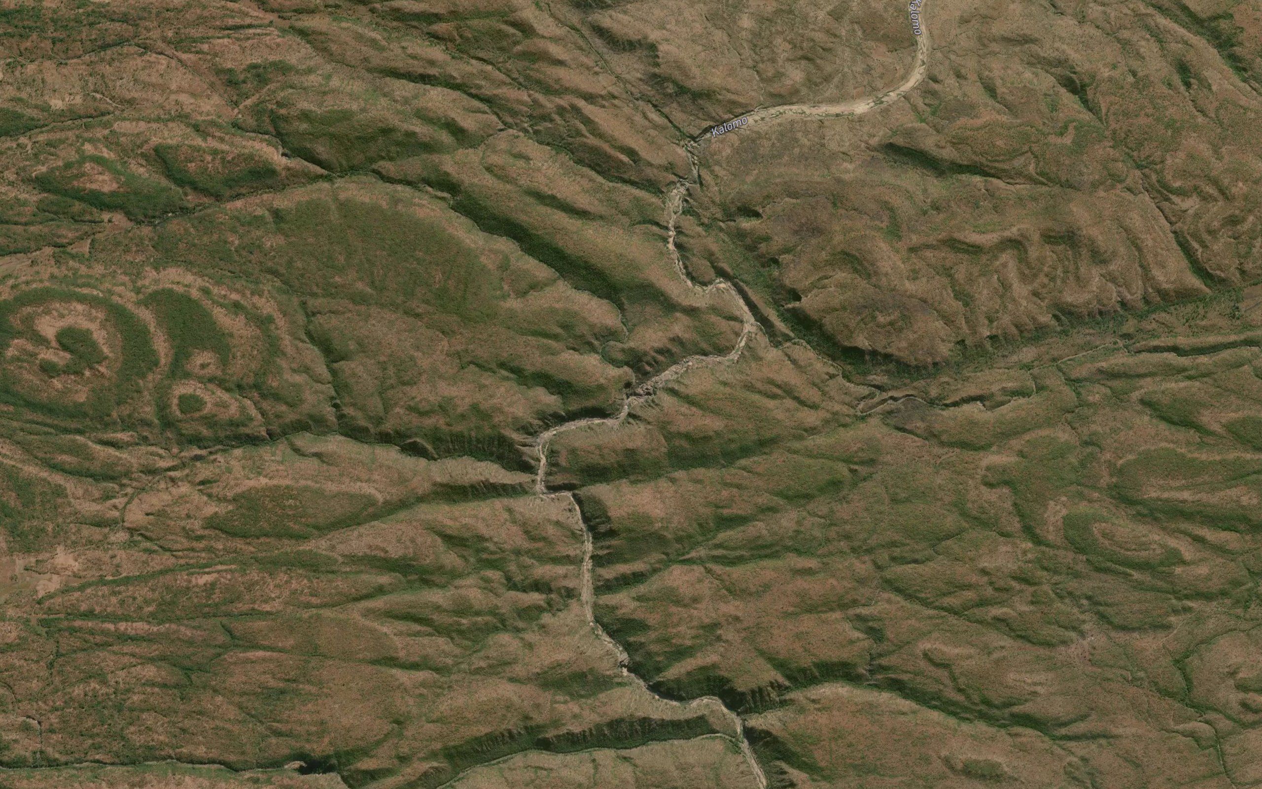 Libala