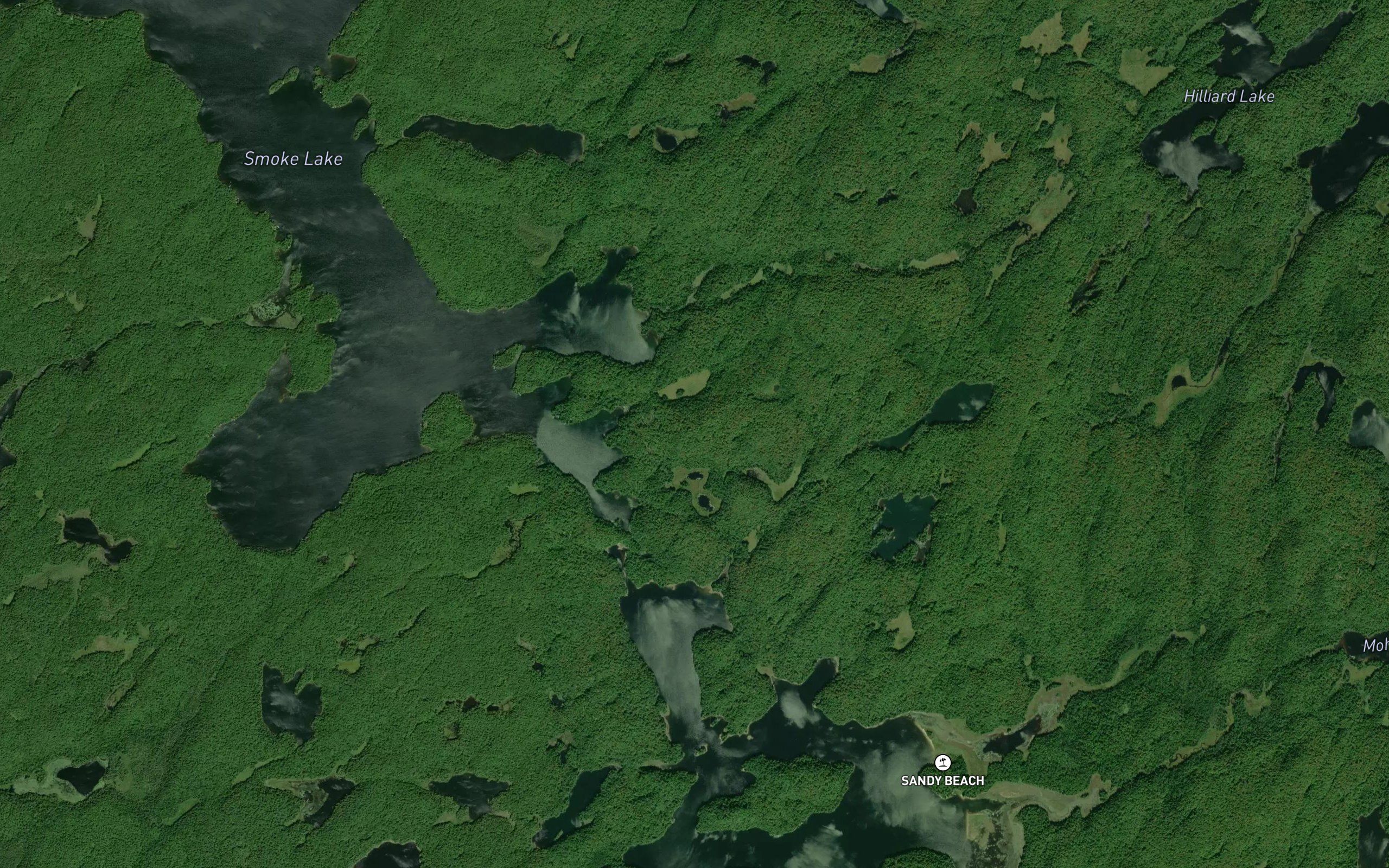 Midget Creek